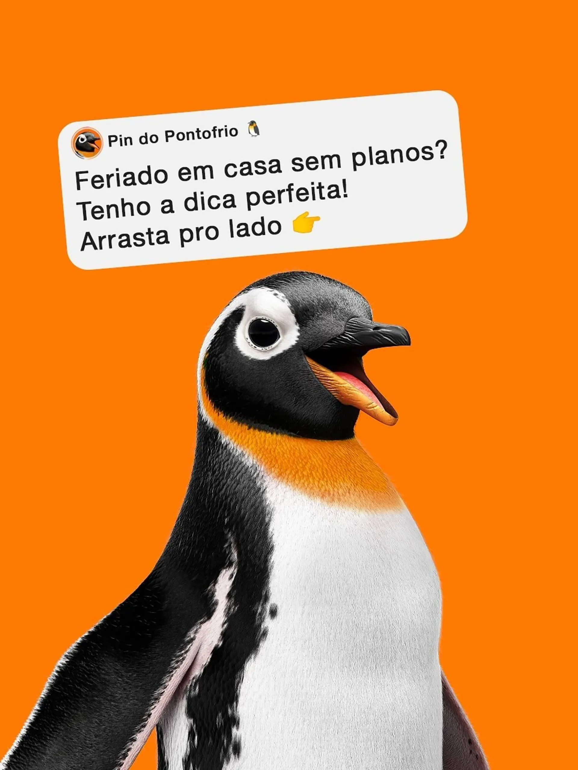 Catálogo Pontofrio - 1