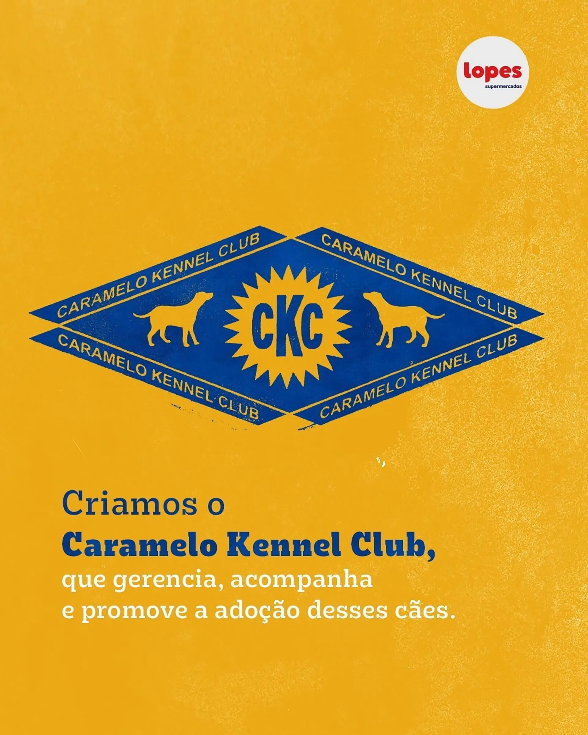 Encarte de Catálogo Lopes Supermercados 27 de maio até 1 de junho 2025 - Pagina 4