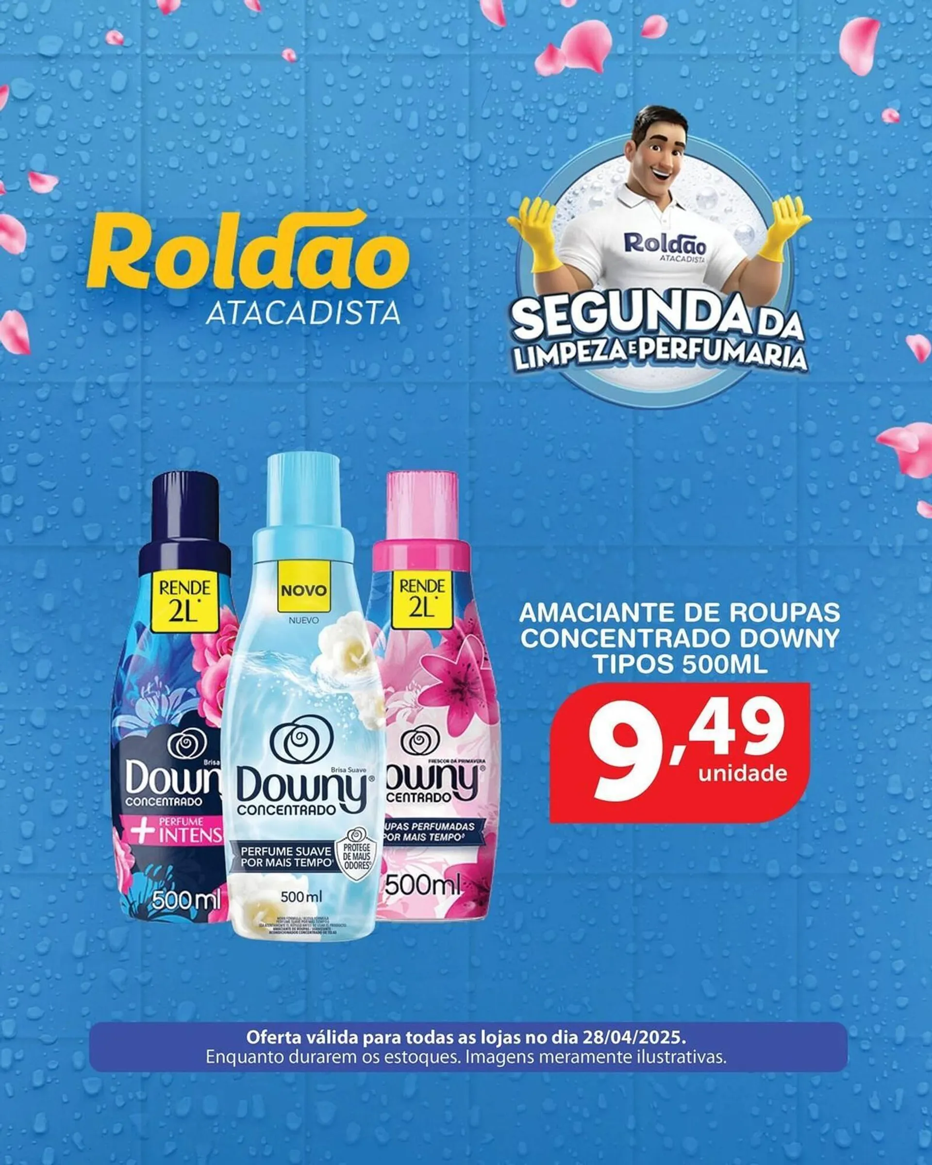 Encarte de Catálogo Roldão 29 de abril até 30 de abril 2025 - Pagina 2