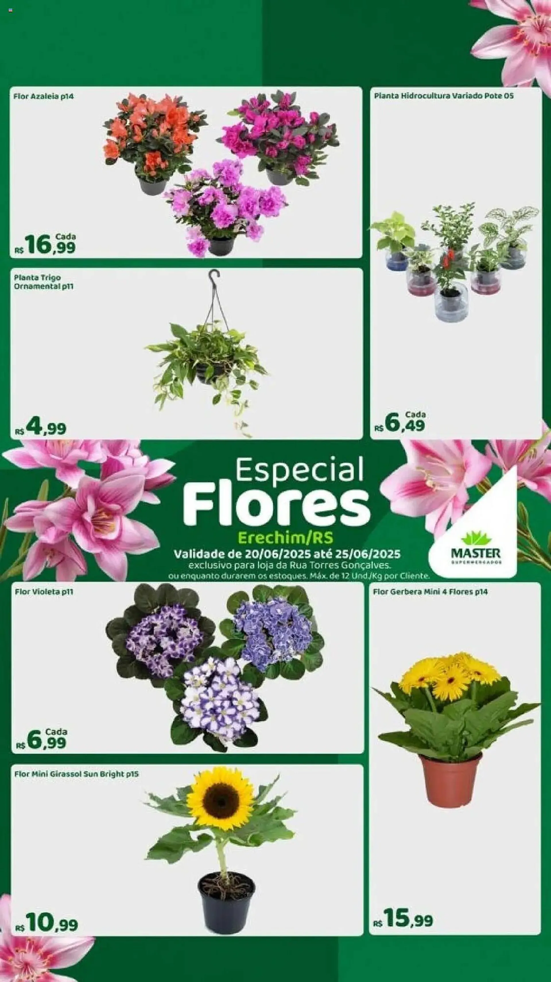 Encarte de Catálogo Master Supermercados 20 de junho até 26 de junho 2025 - Pagina 1