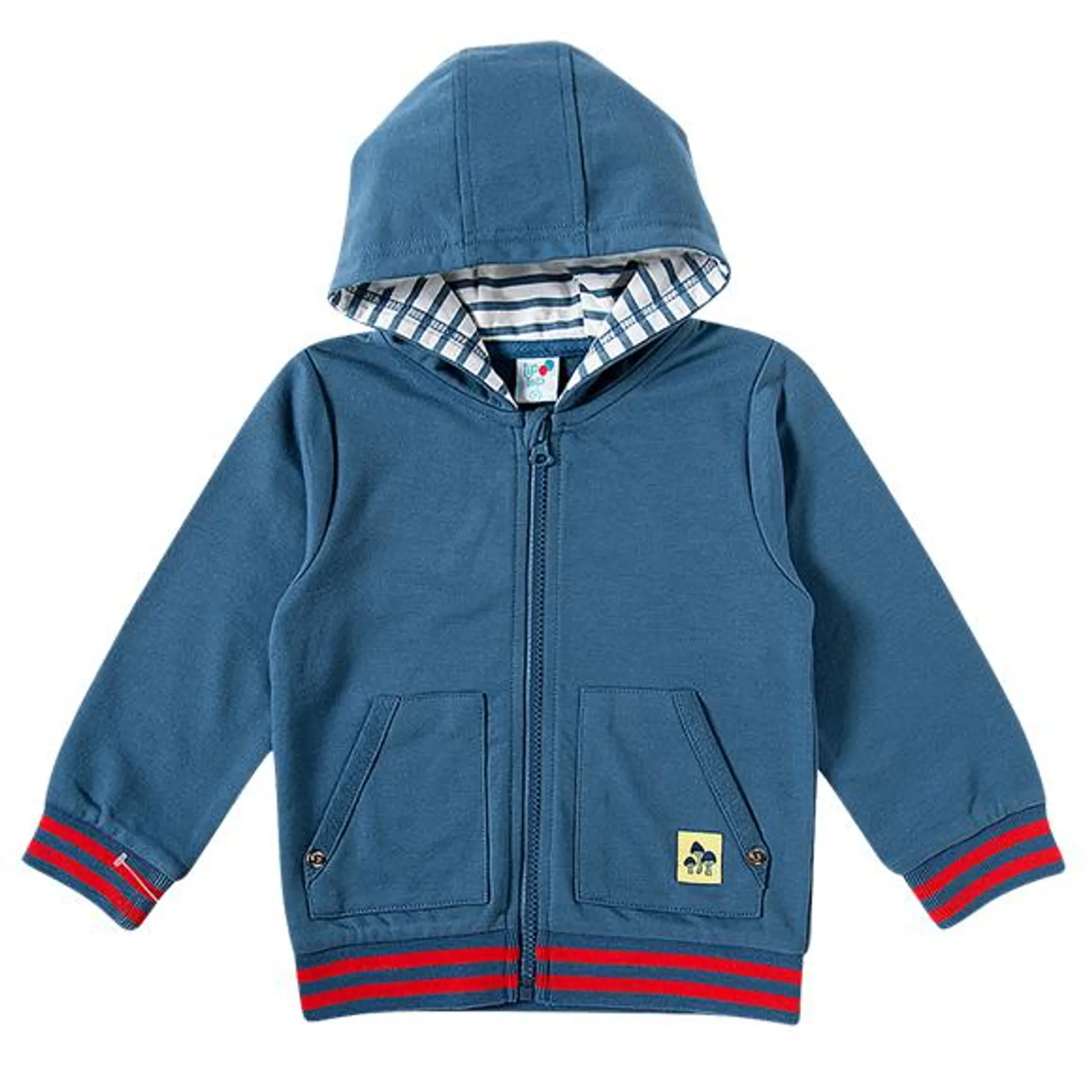 blusão manga longa com capuz moletom inverno porco espinho toddler
