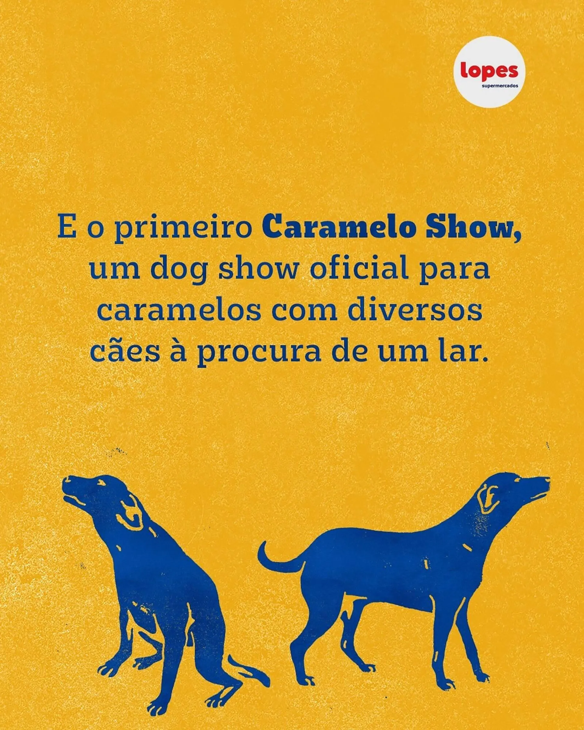 Encarte de Catálogo Lopes Supermercados 27 de maio até 1 de junho 2025 - Pagina 5