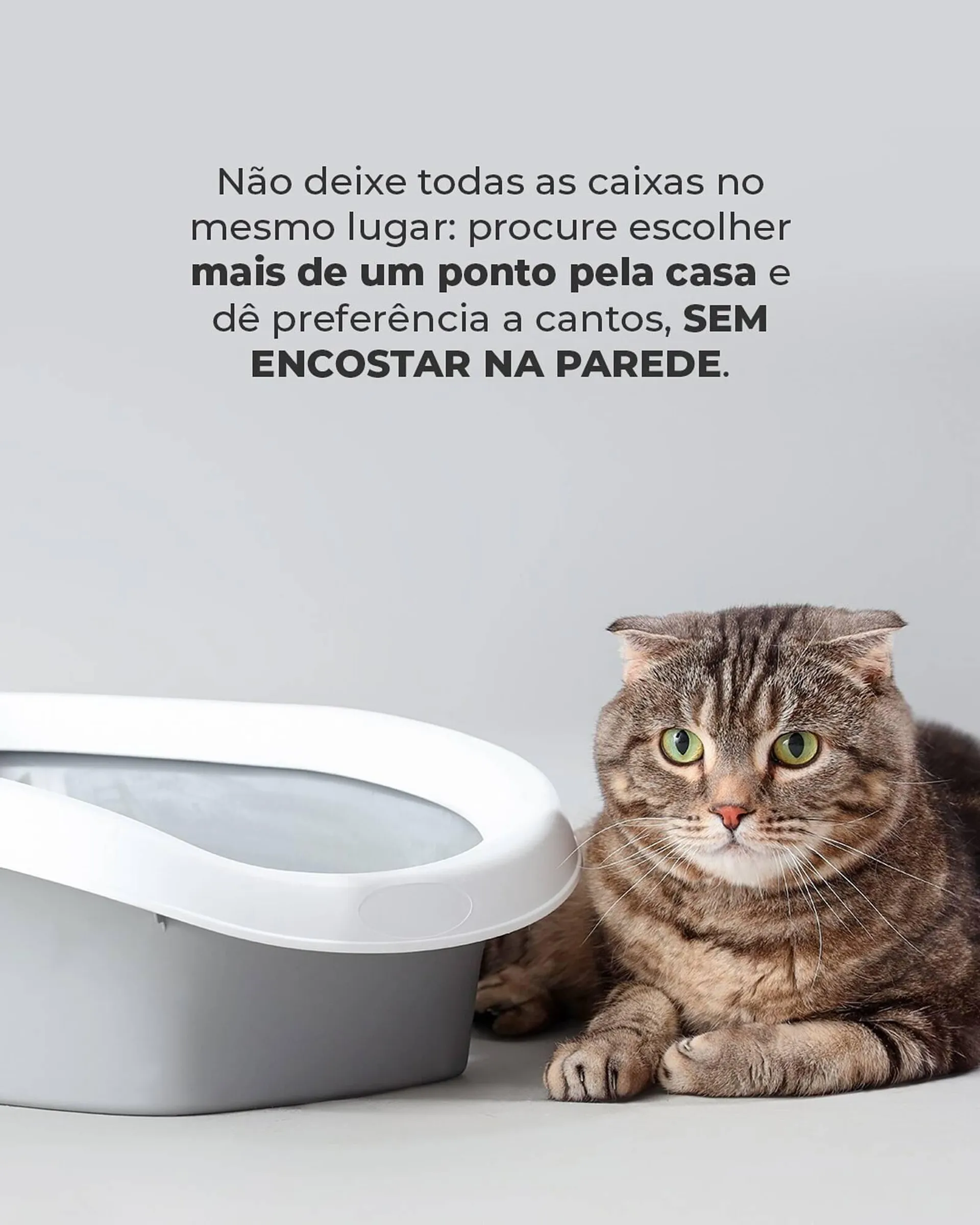 Encarte de Catálogo Cobasi 23 de abril até 30 de abril 2025 - Pagina 4