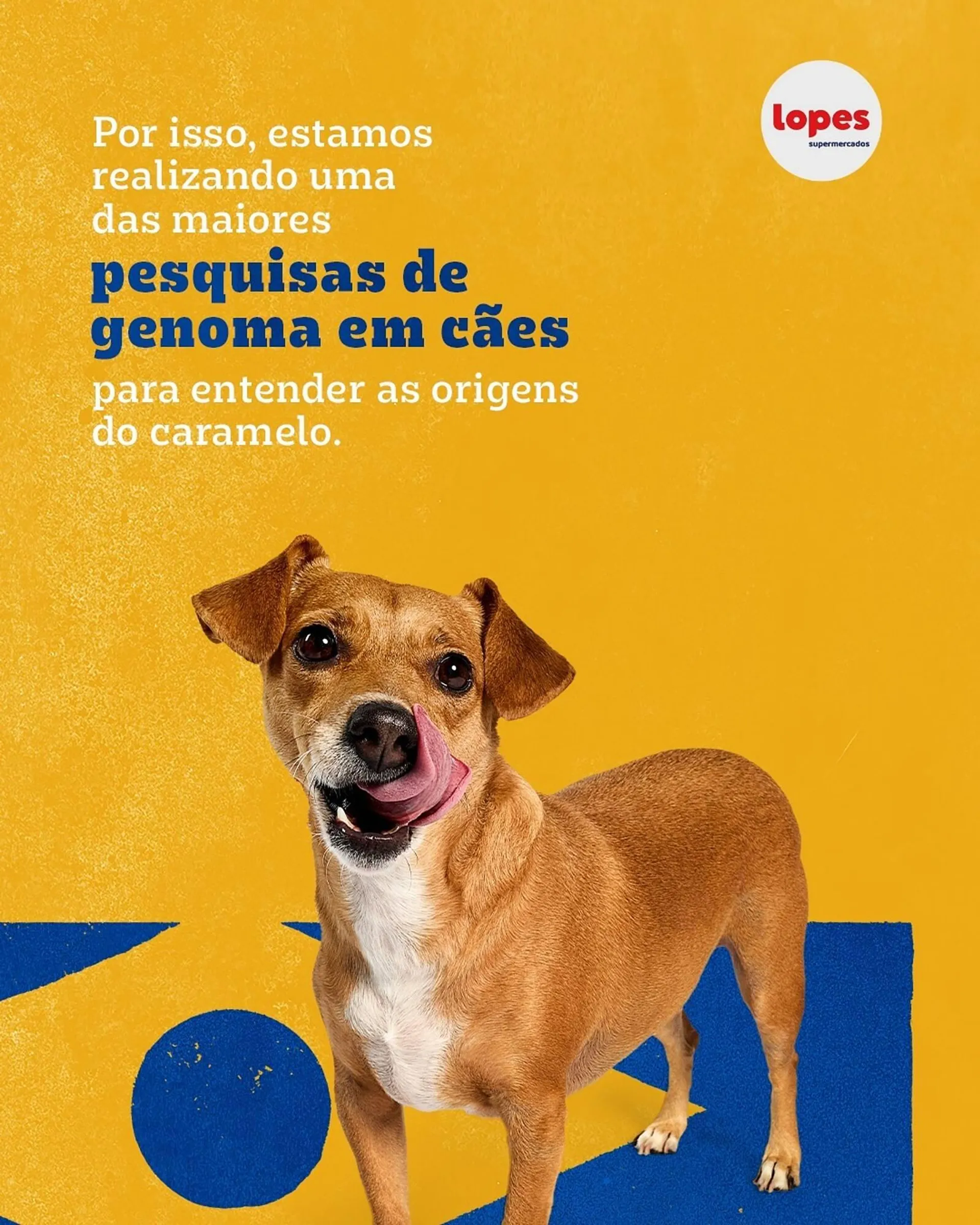 Encarte de Catálogo Lopes Supermercados 27 de maio até 1 de junho 2025 - Pagina 3