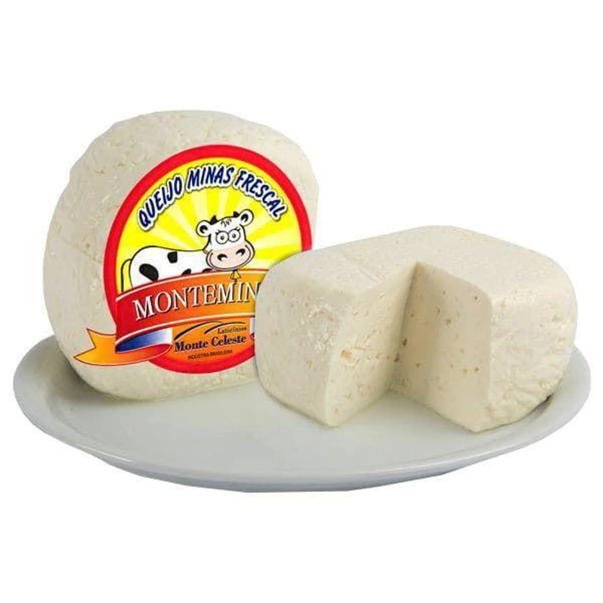 Queijo Minas Frescal Monteminas 500g (pote)