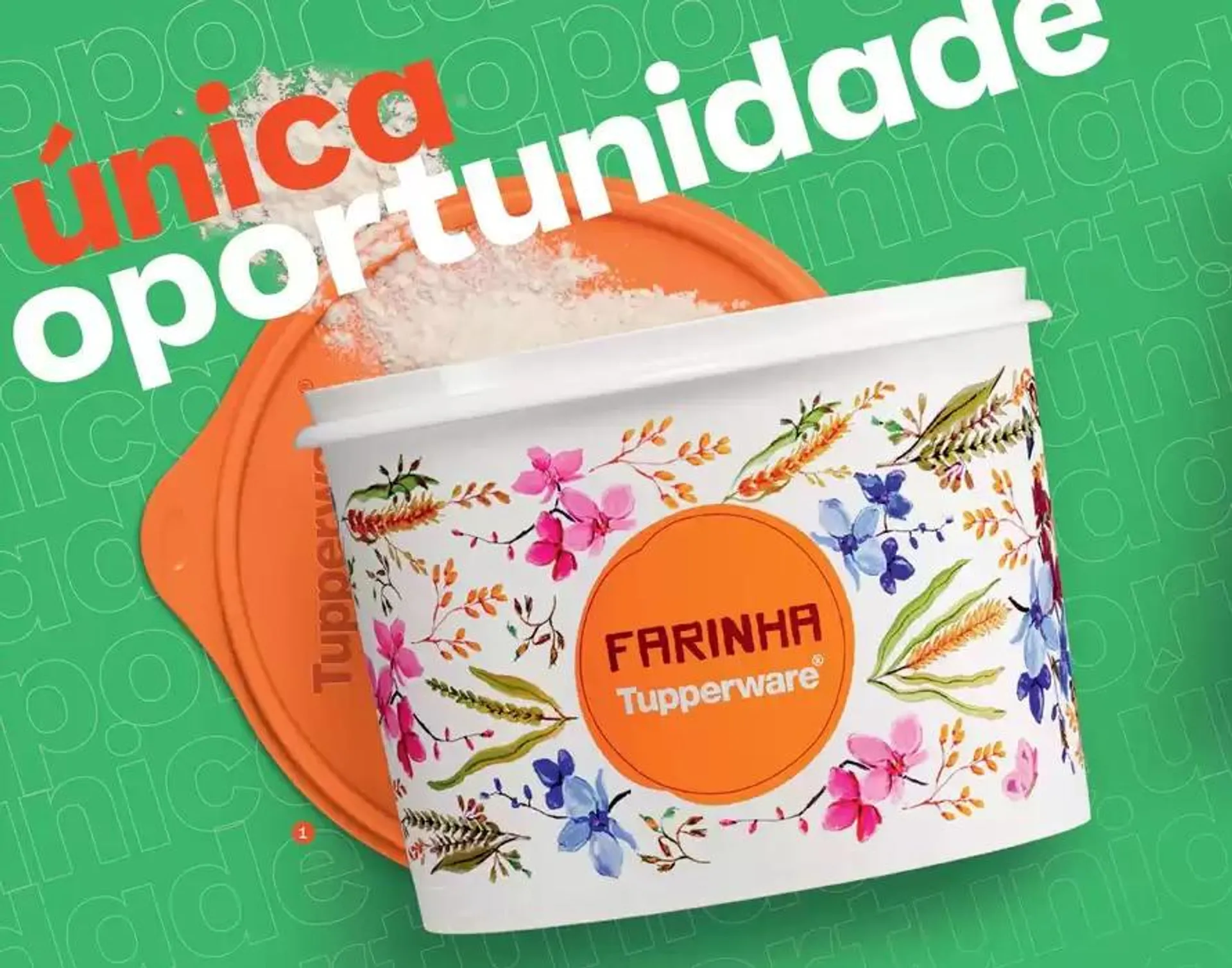 Encarte de Catálogo Tupperware 11 de novembro até 12 de novembro 2024 - Pagina 15