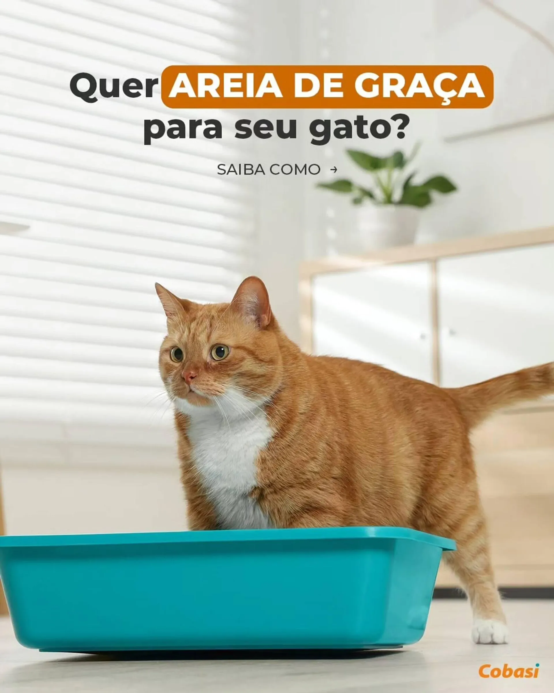 Catálogo Cobasi - 1