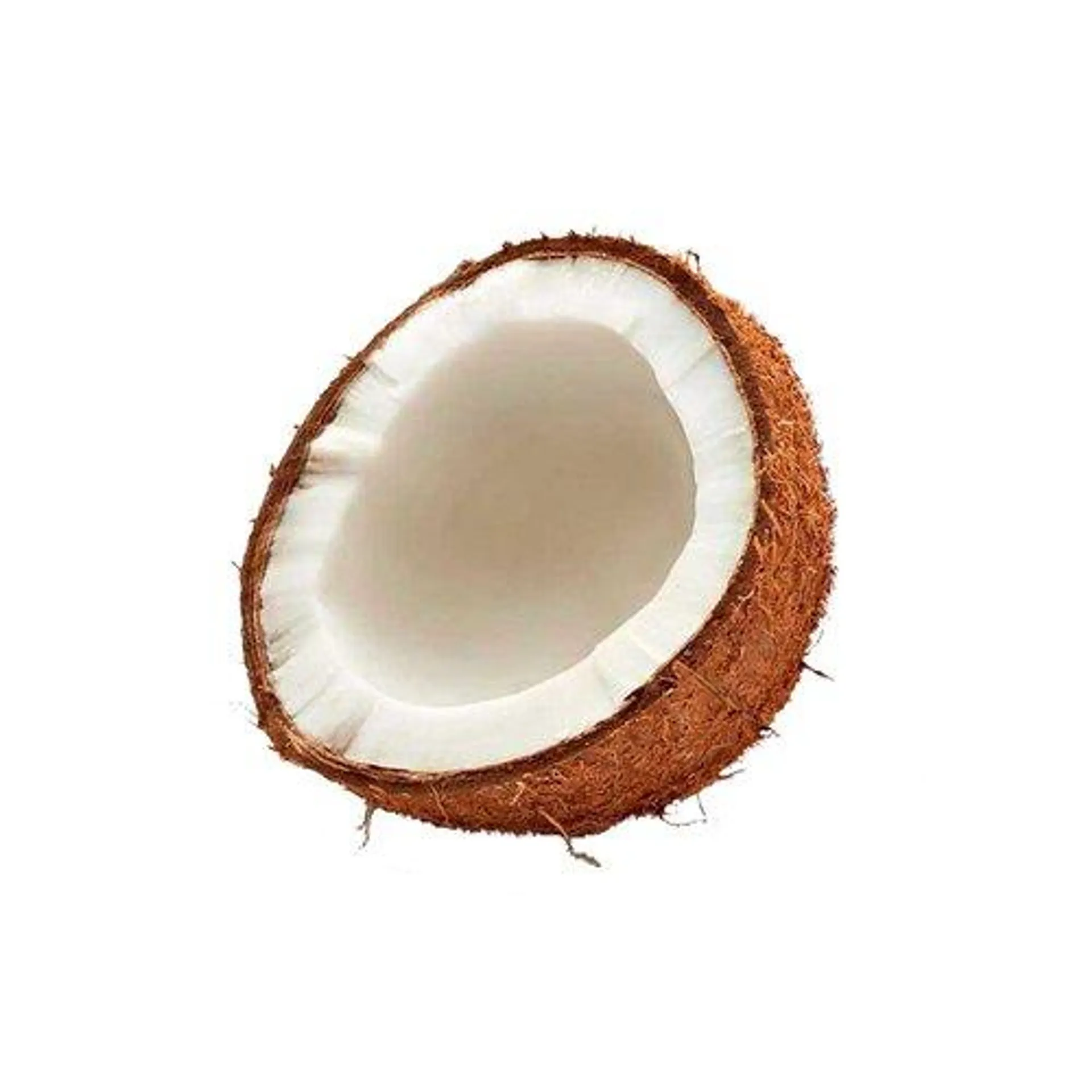 Coco Seco Pedaço 100g