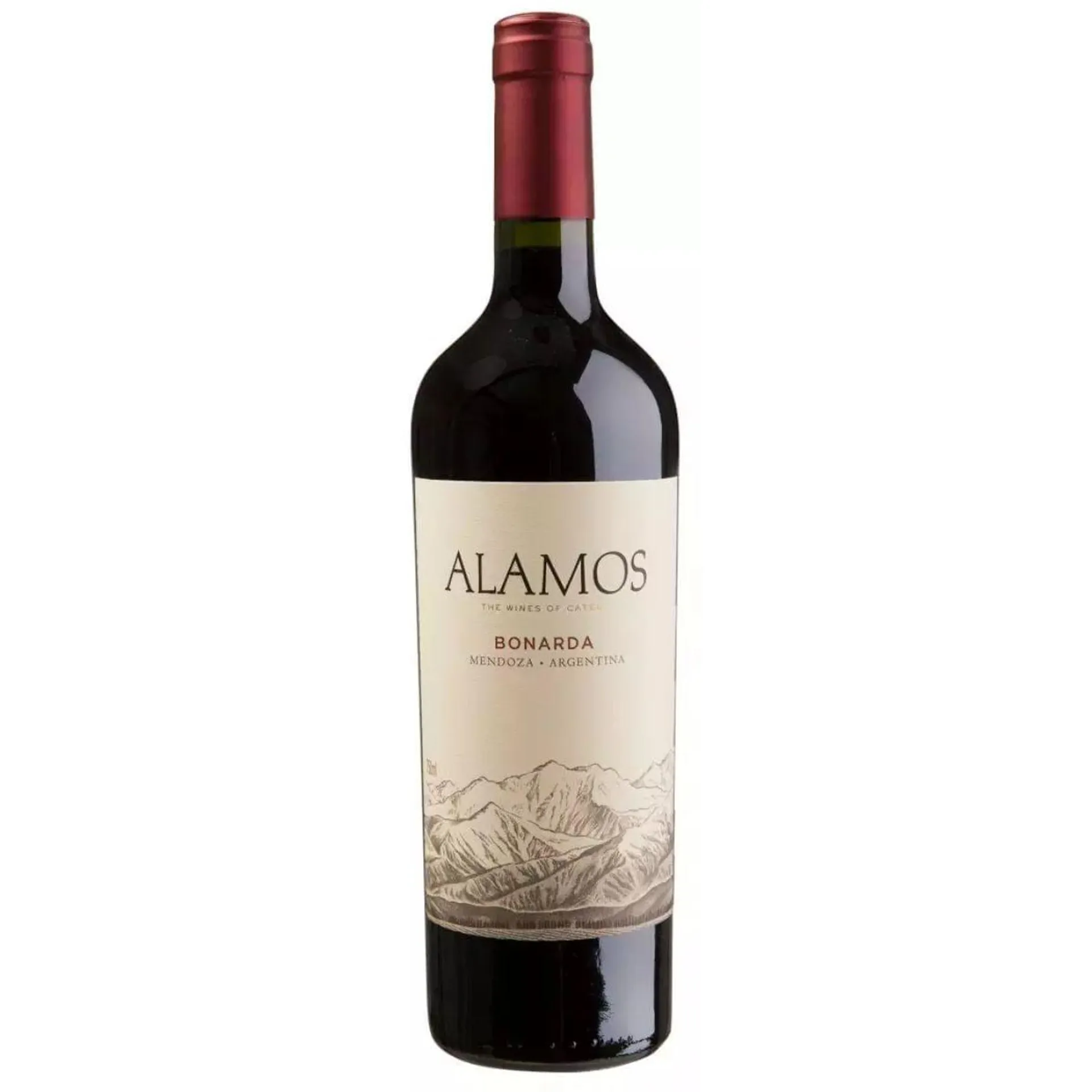 Vinho Tinto Argentino Alamos Bonarda 750 ml