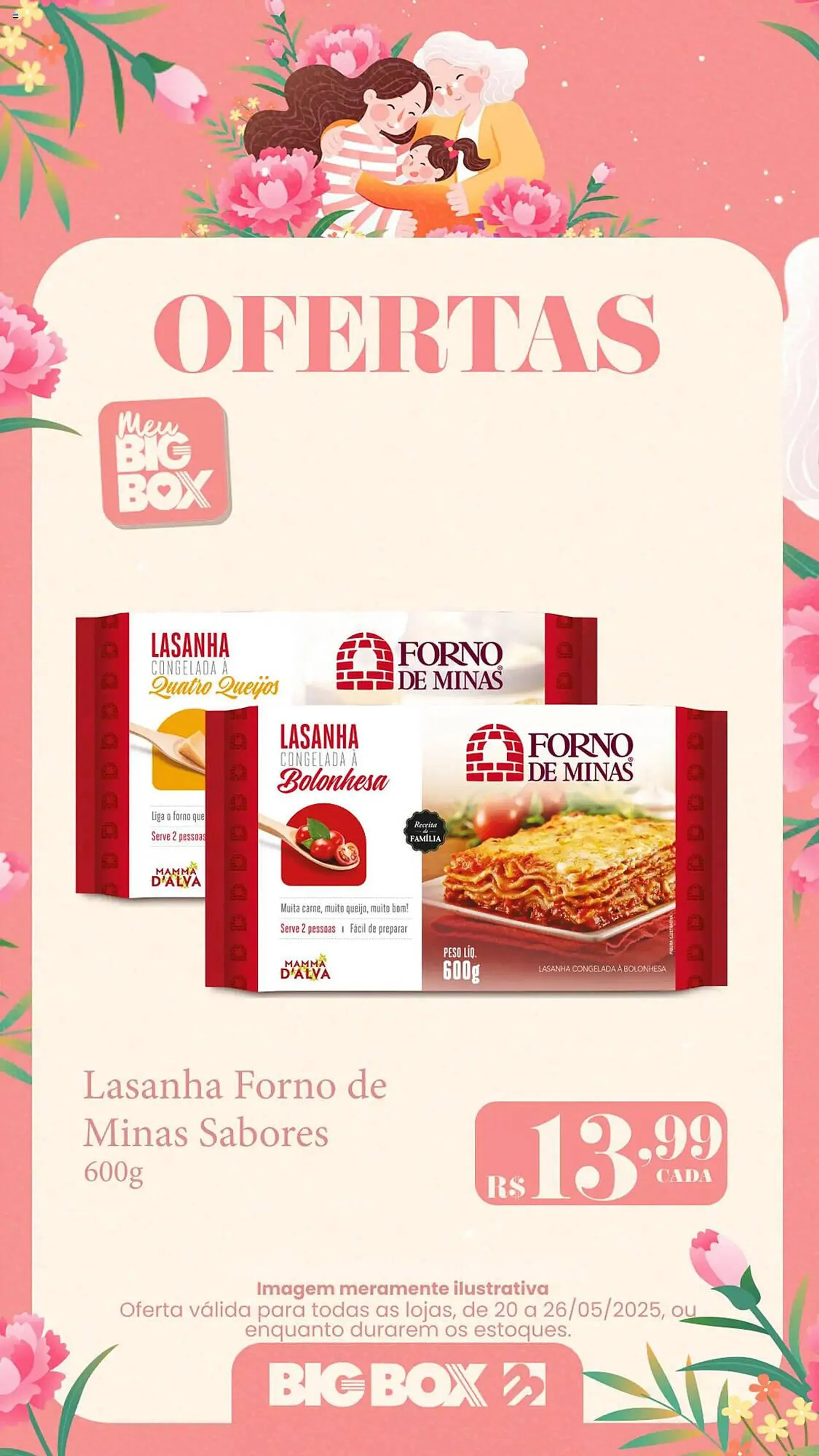 Encarte de Catálogo Big Box 20 de maio até 27 de maio 2025 - Pagina 17