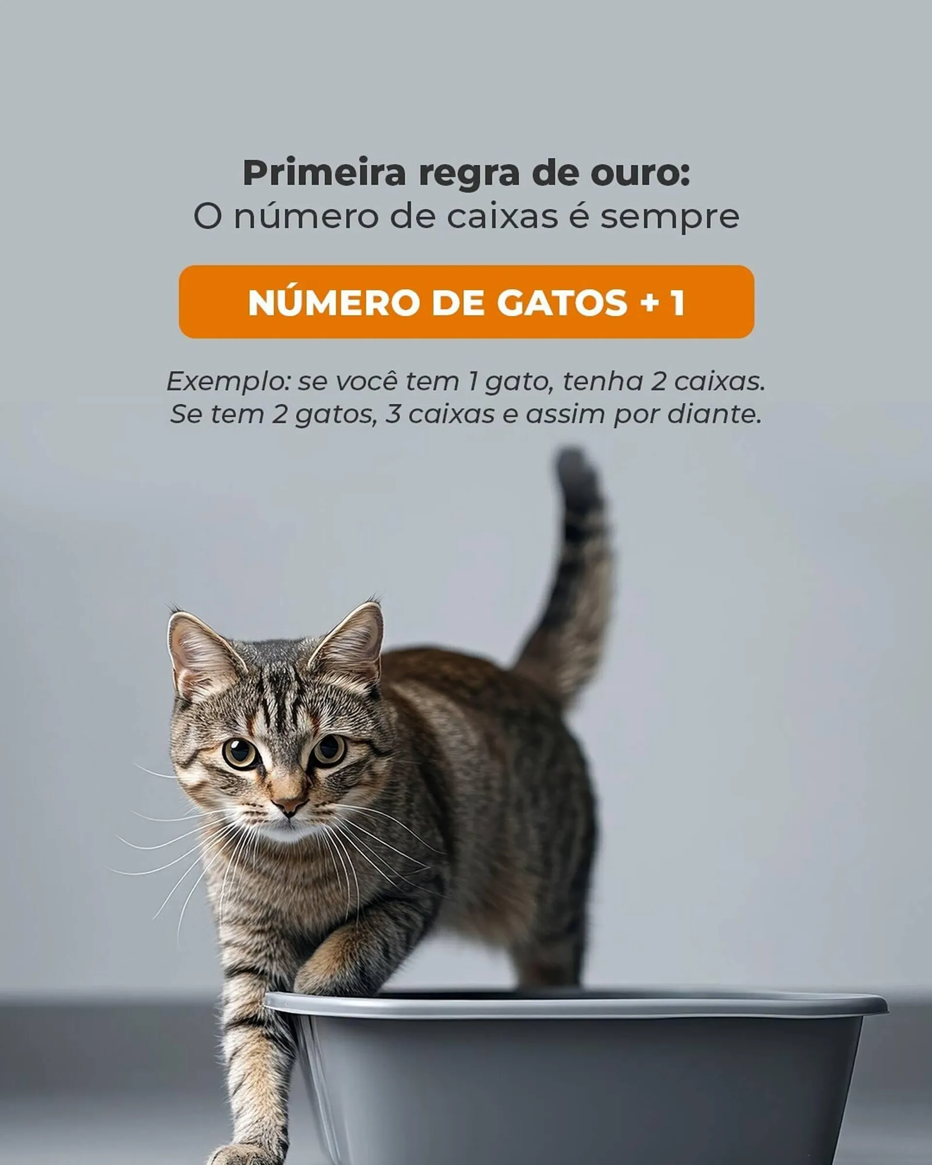 Encarte de Catálogo Cobasi 23 de abril até 30 de abril 2025 - Pagina 3