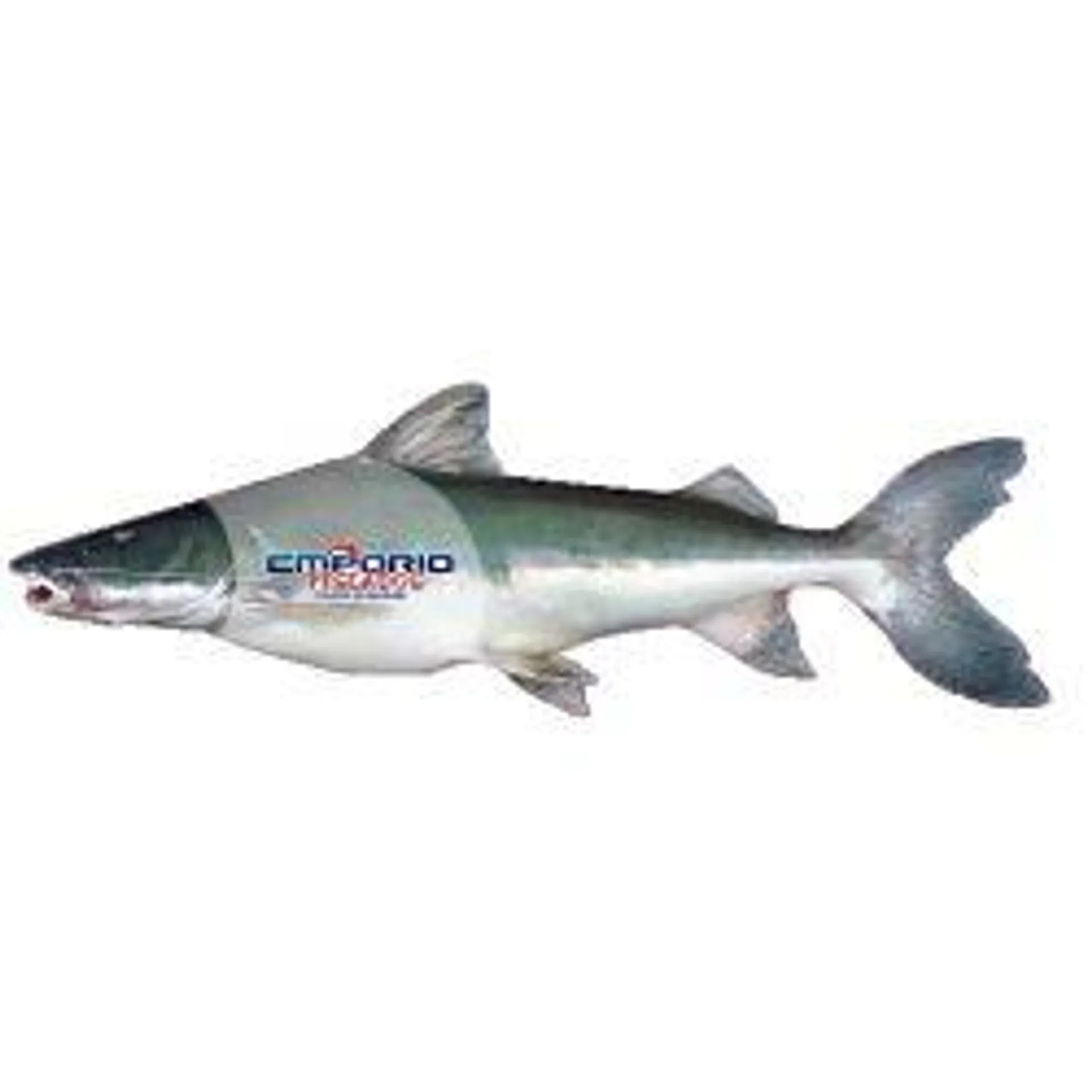 Peixe Fresco Branquinho 1kg