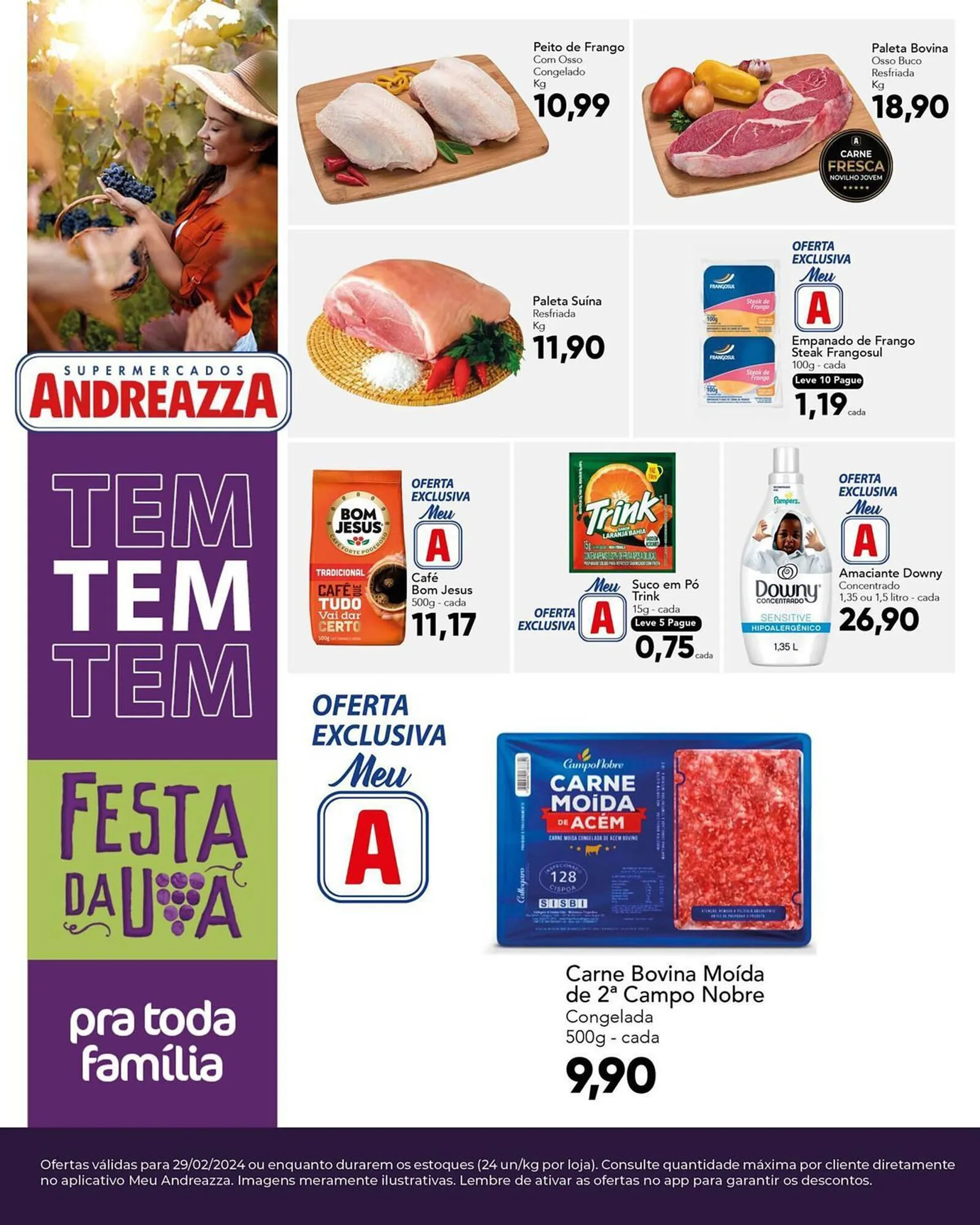 Encarte de Catálogo Supermercados Andreazza 29 de fevereiro até 29 de fevereiro 2024 - Pagina 