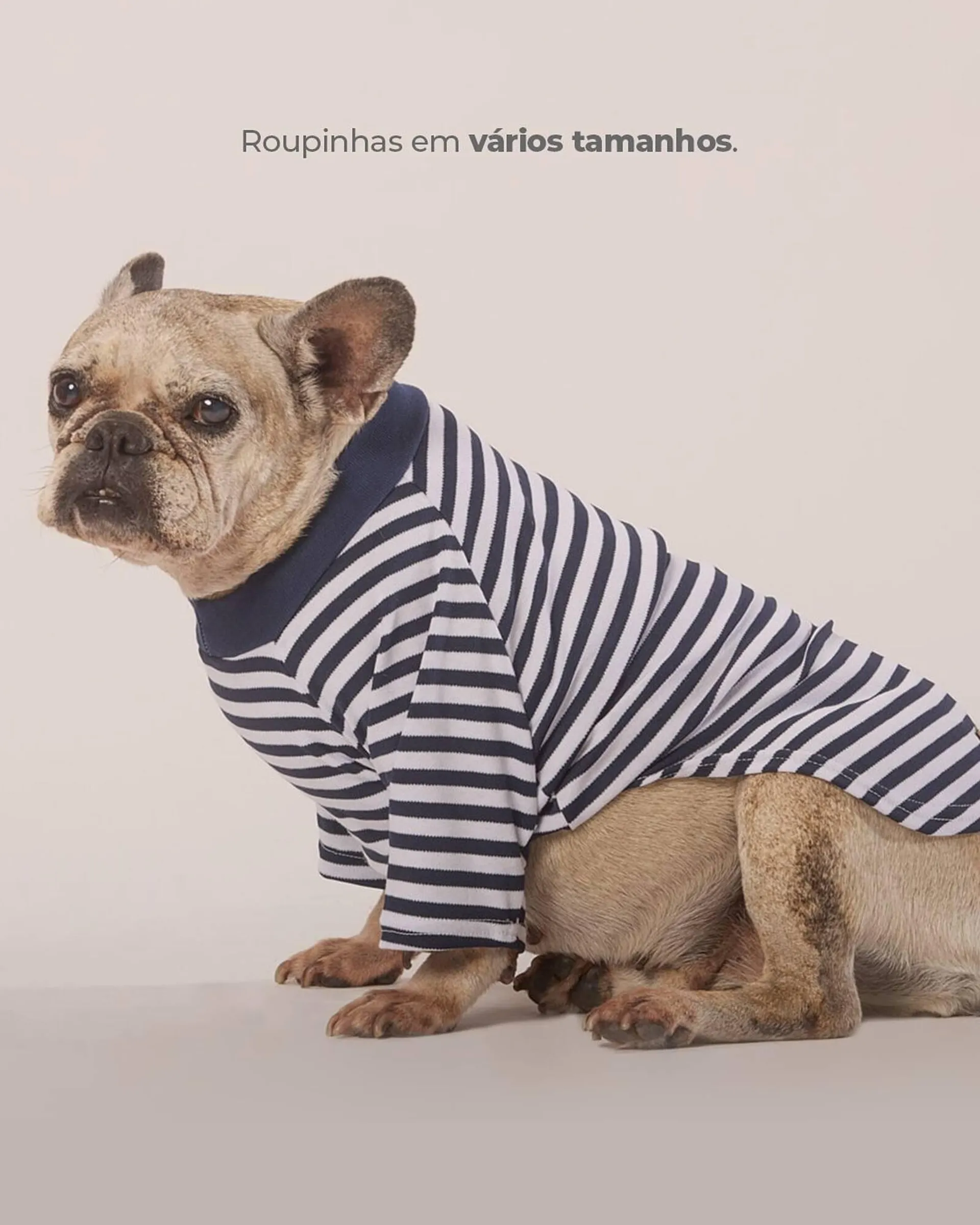 Encarte de Catálogo Cobasi 9 de junho até 9 de junho 2025 - Pagina 5