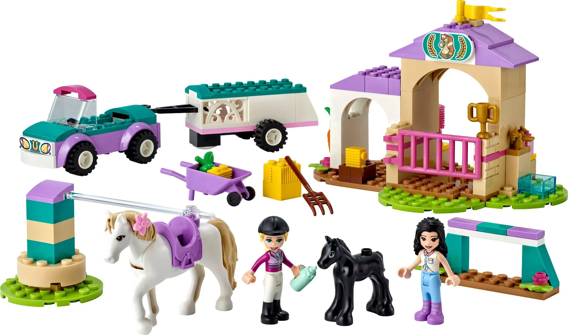 Friends - Treinamento de Cavalos e Trailer