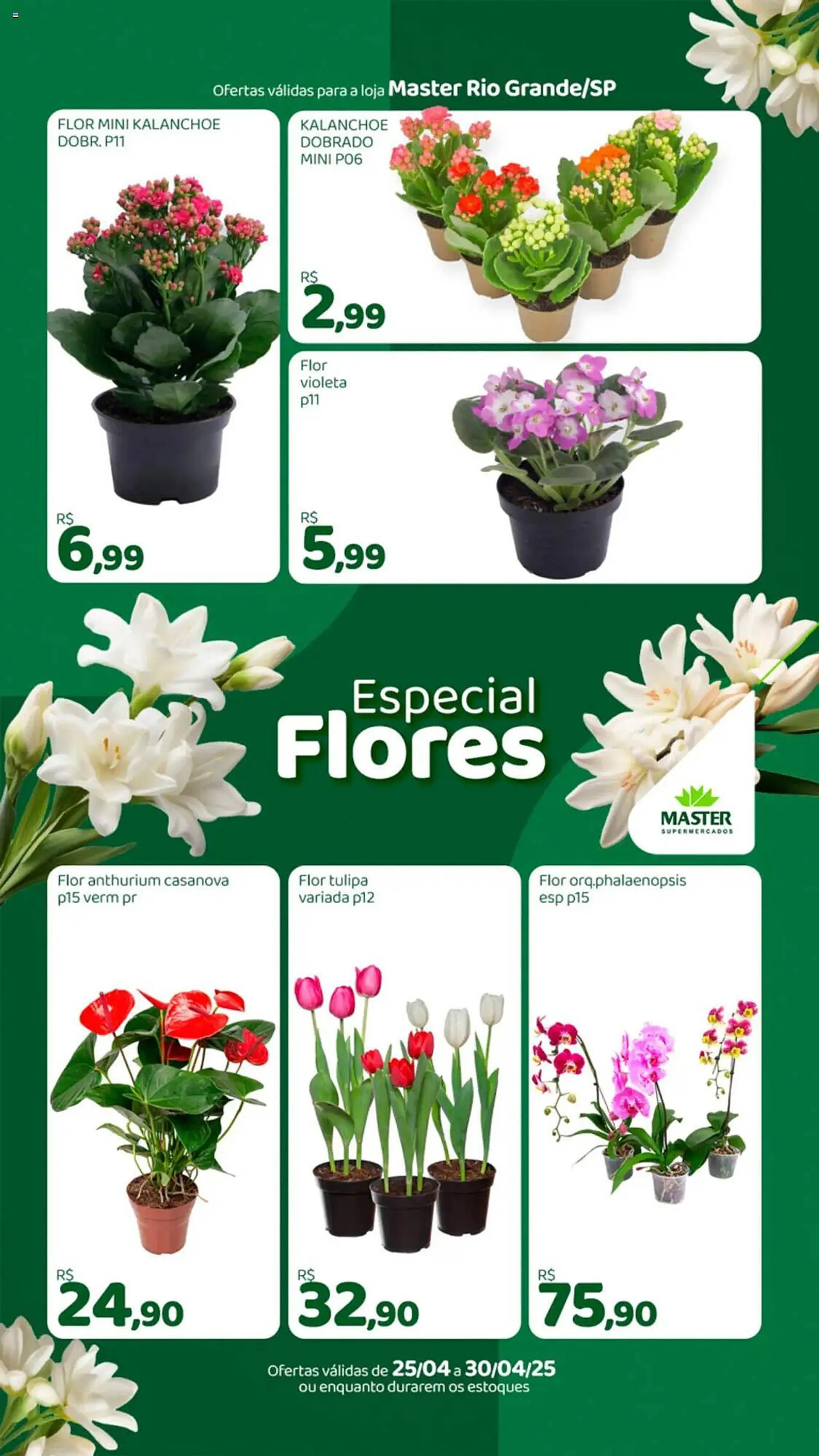 Encarte de Catálogo Master Supermercados 25 de abril até 30 de abril 2025 - Pagina 1