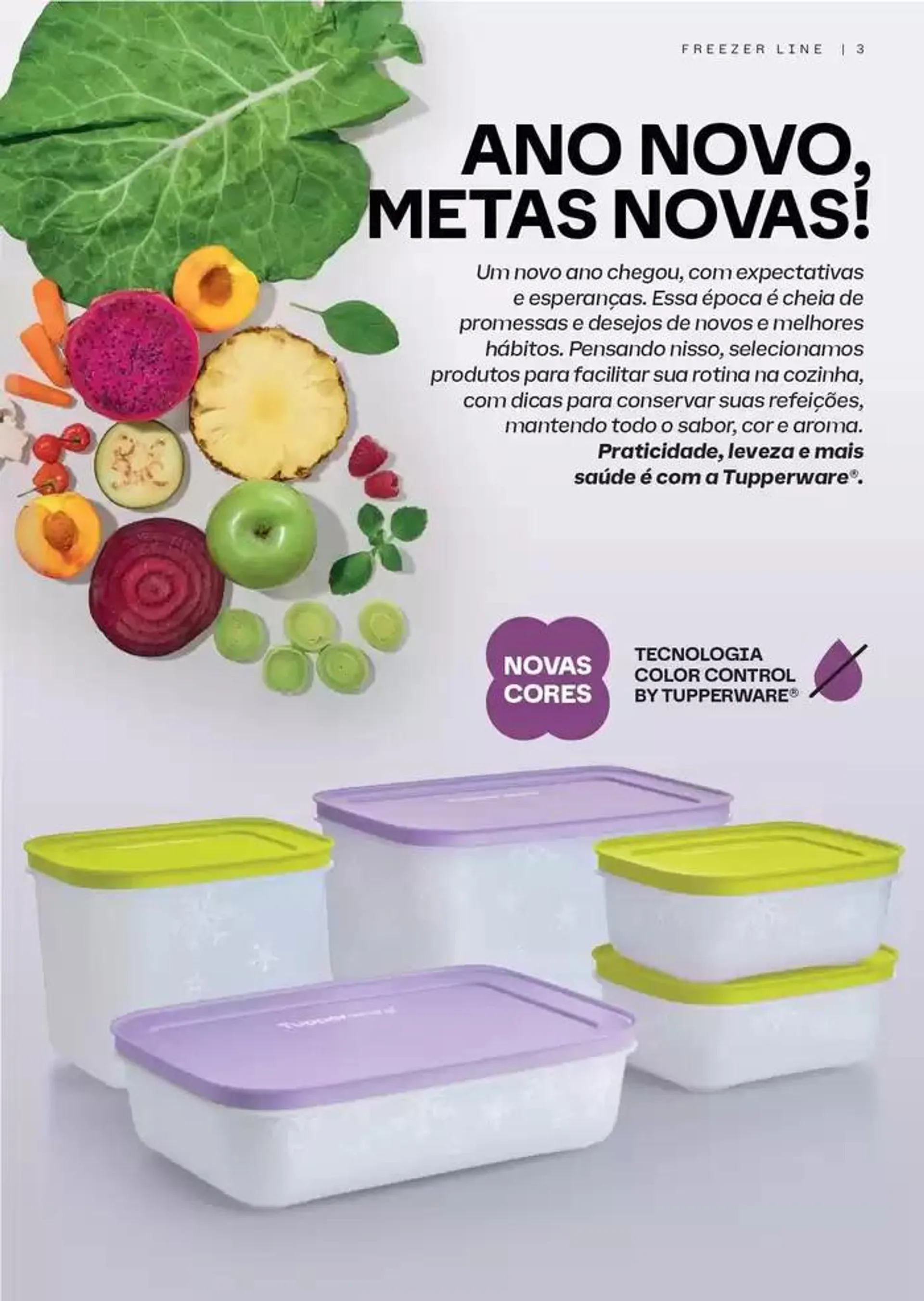 Encarte de Catálogo Tupperware 19 de dezembro até 24 de dezembro 2024 - Pagina 12