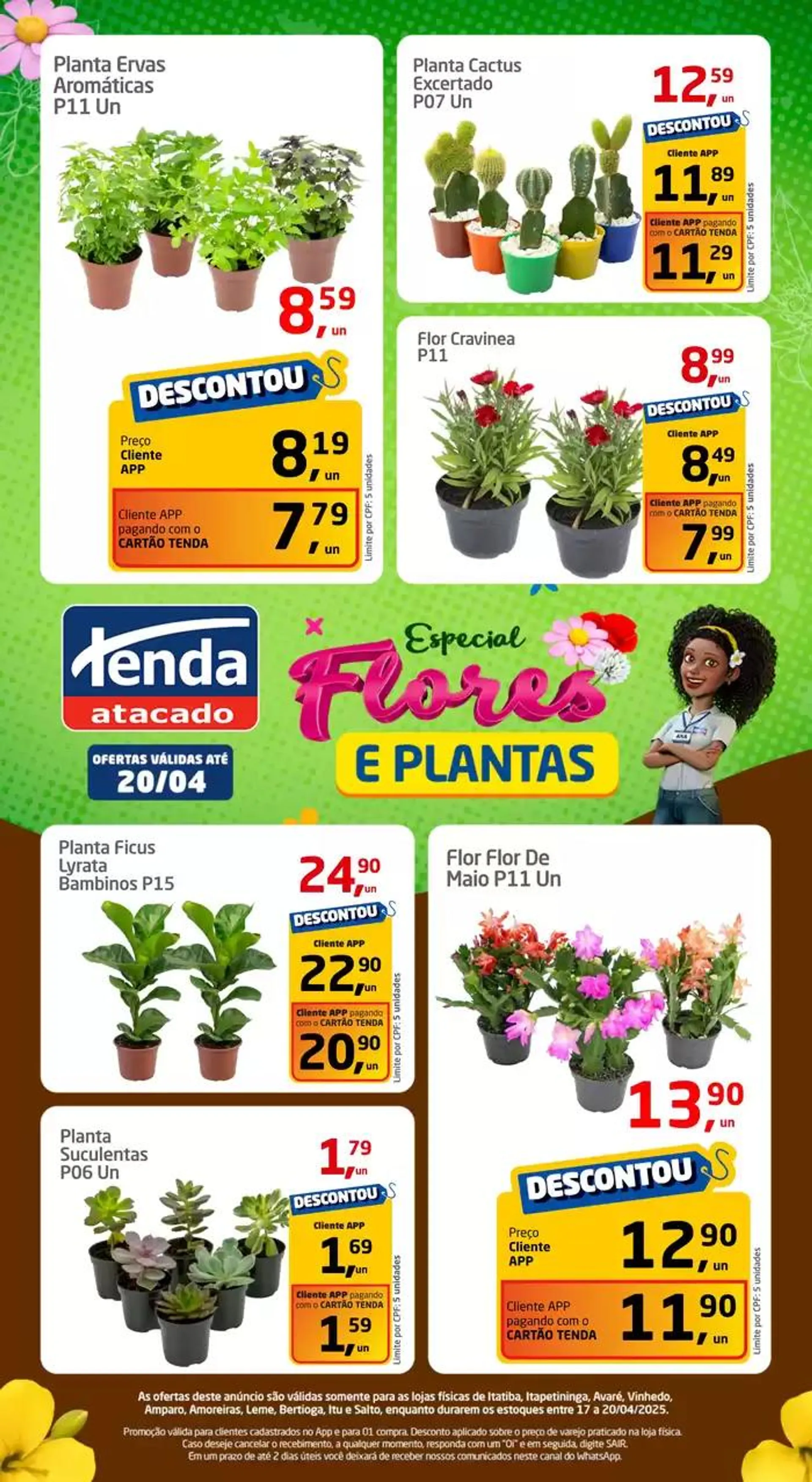 Especial Flores E Plantas - 1