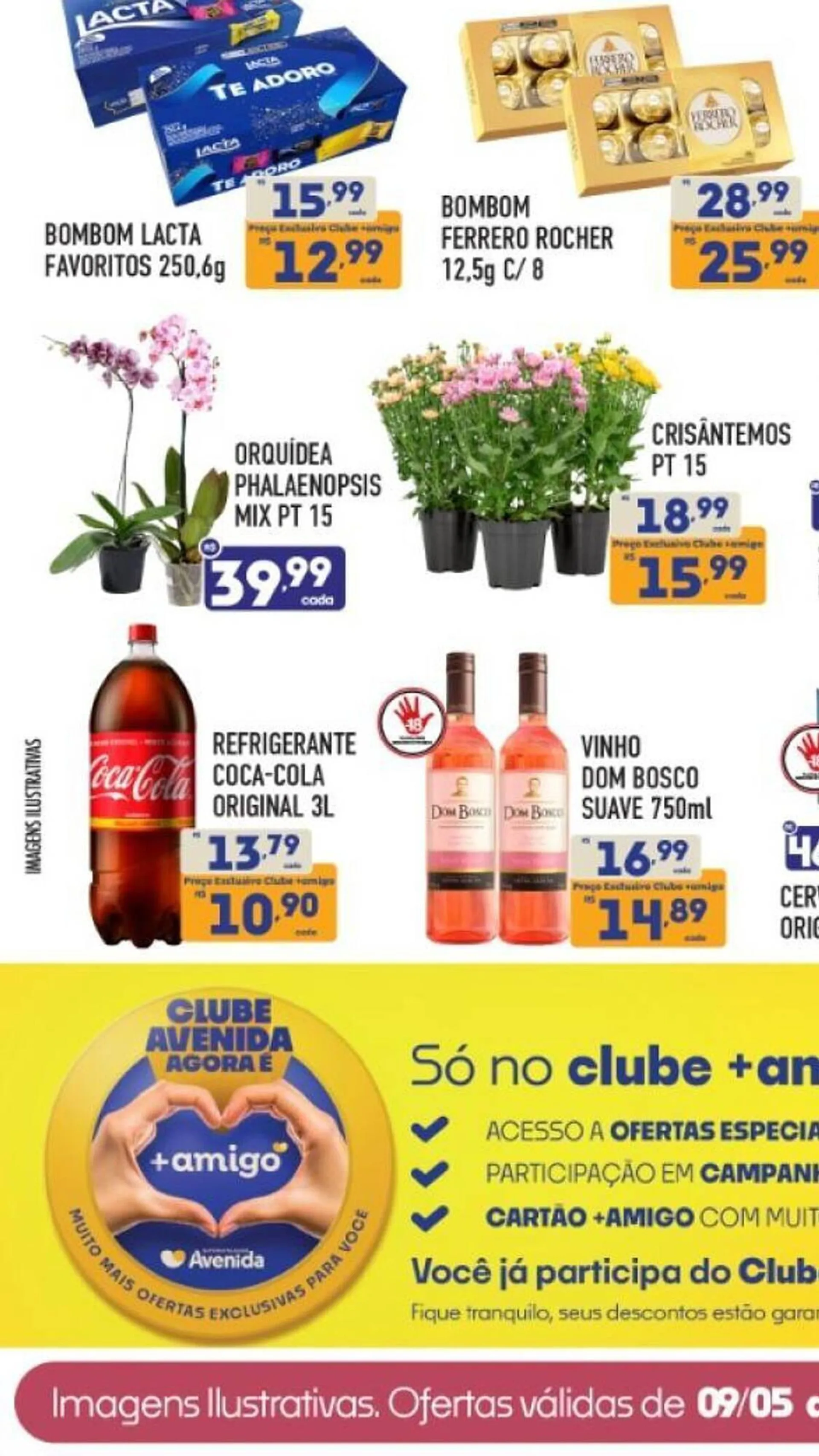 Catálogo Supermercados Avenida - 1