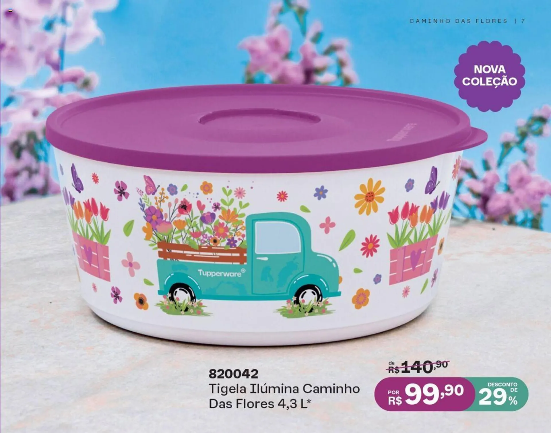 Encarte de Catálogo Tupperware 1 de outubro até 31 de outubro 2024 - Pagina 6