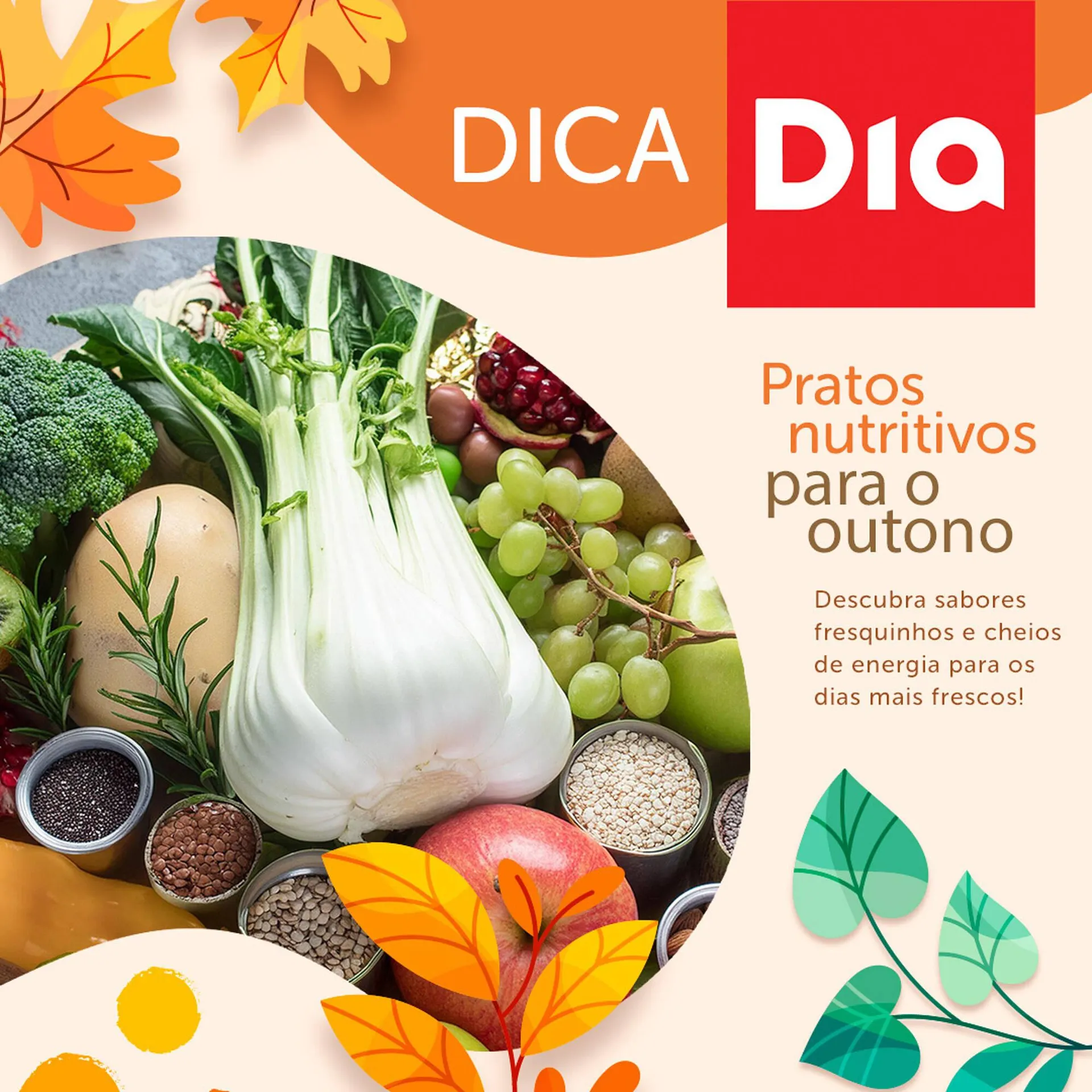 Catálogo Dia - 1