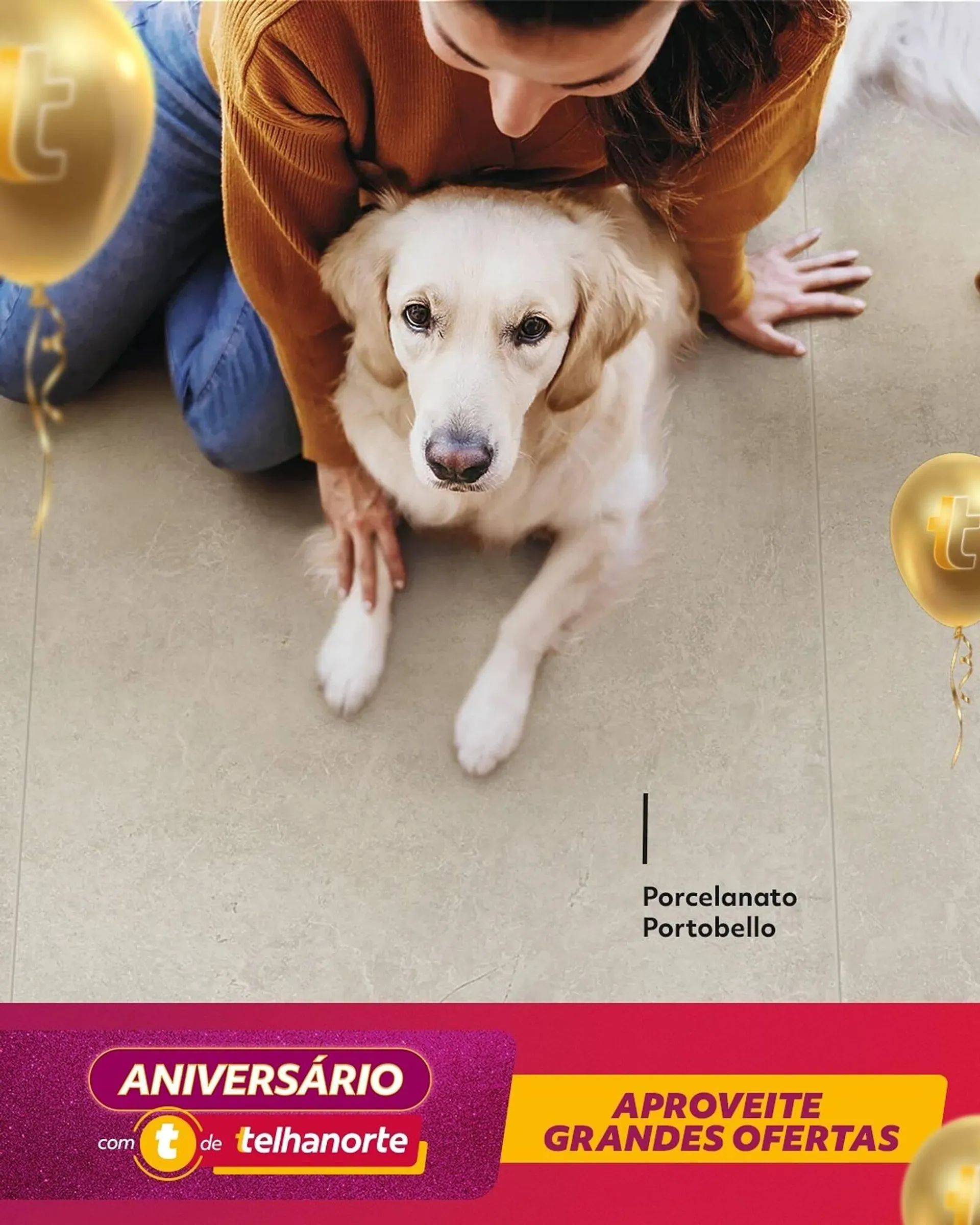 Catálogo Telhanorte - 1