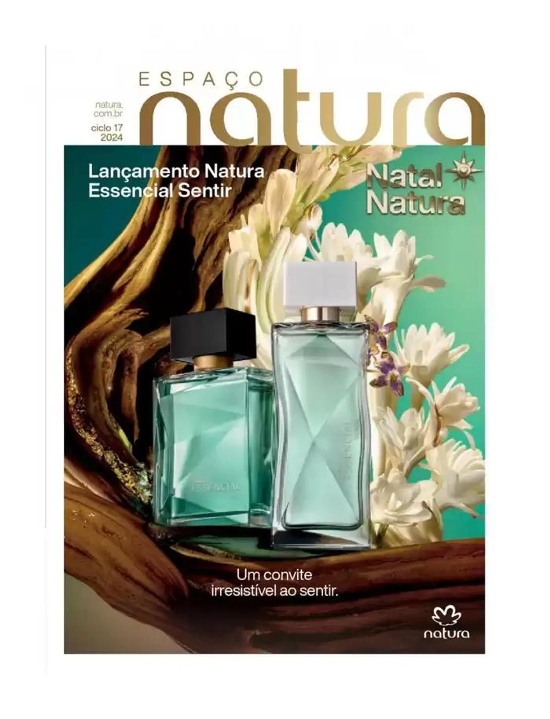 Revista Natura Ciclo 17 - 1