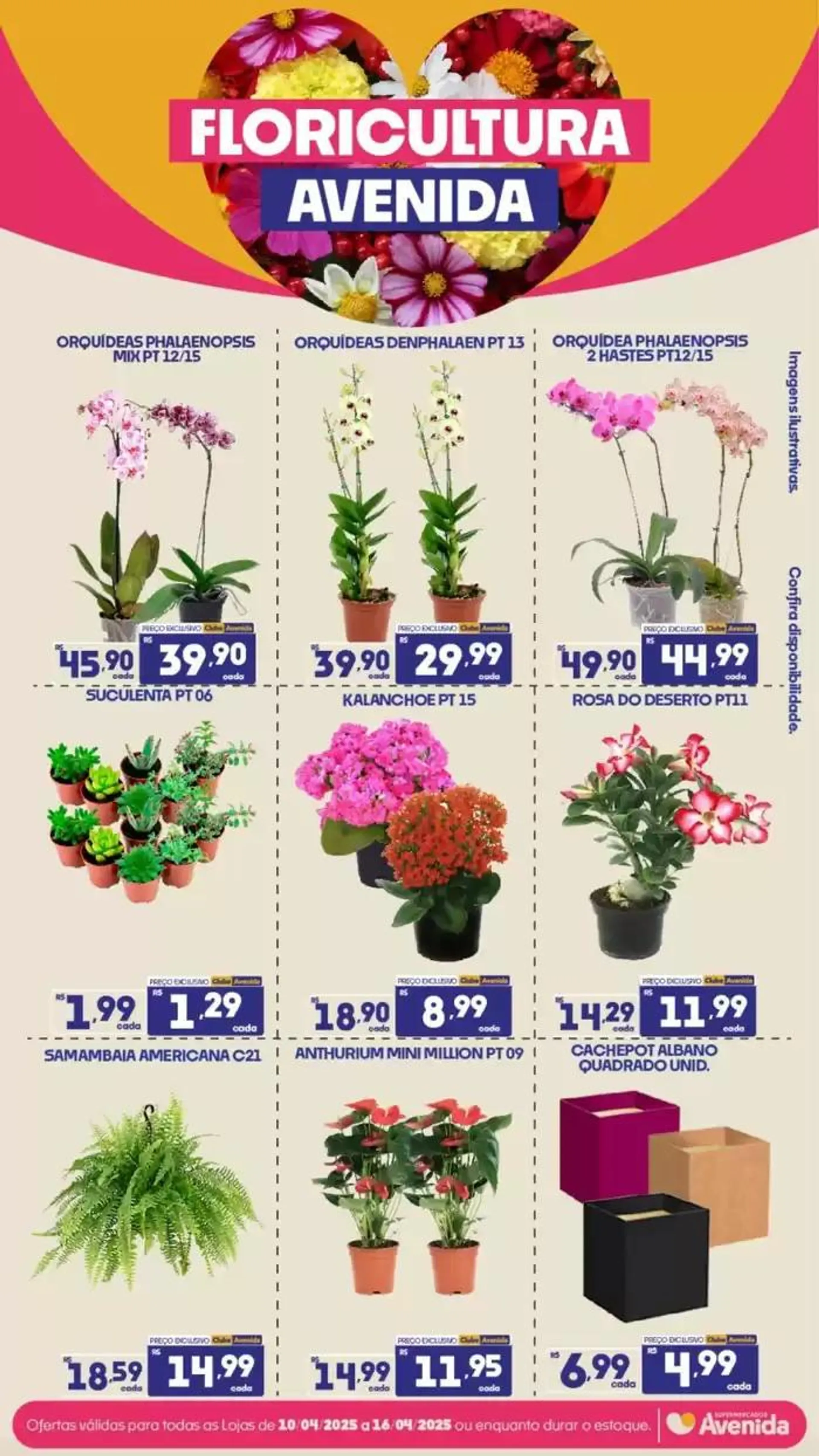 Encarte de Encarte Rede Troyano de Supermercados 14 de abril até 20 de abril 2025 - Pagina 17