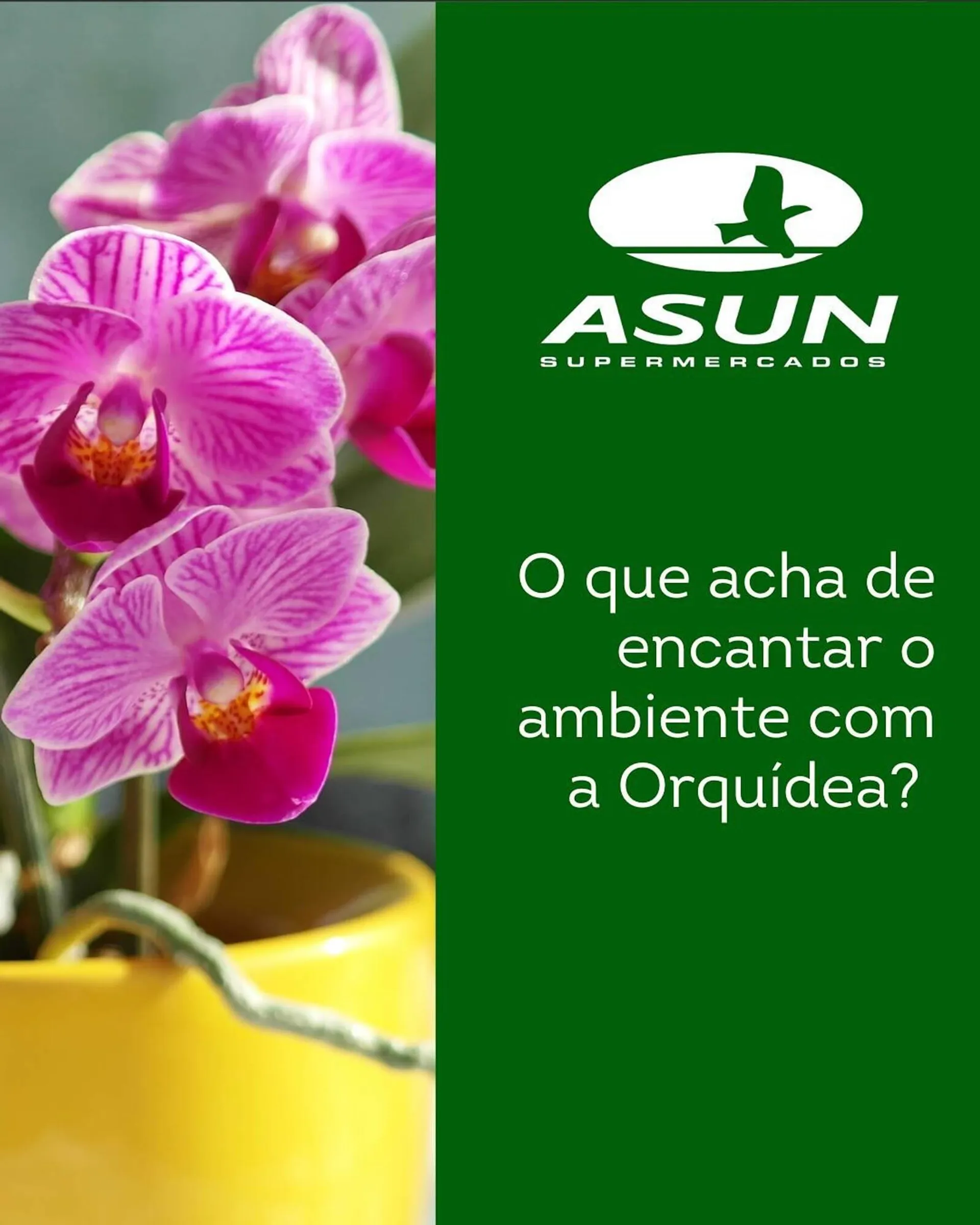 Encarte de Catálogo Asun 7 de maio até 13 de maio 2025 - Pagina 5