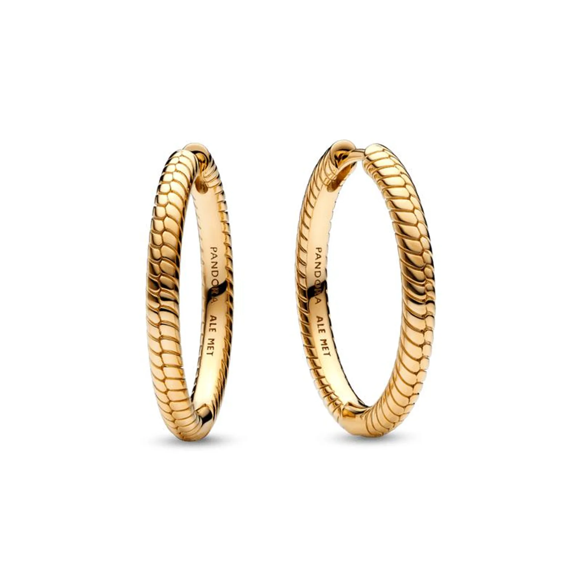 Argolas corrente em Ouro Pandora Moments