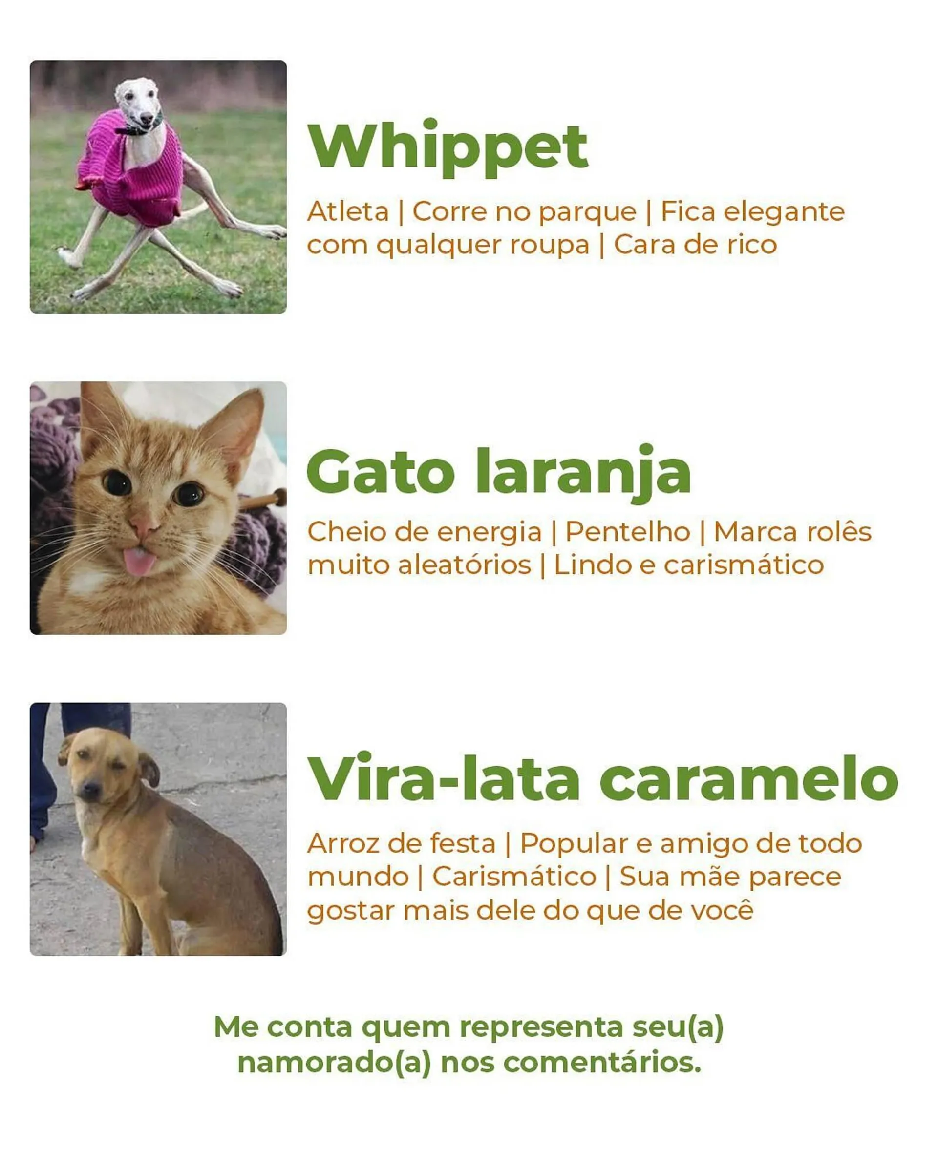Encarte de Catálogo Cobasi 12 de junho até 14 de junho 2025 - Pagina 3