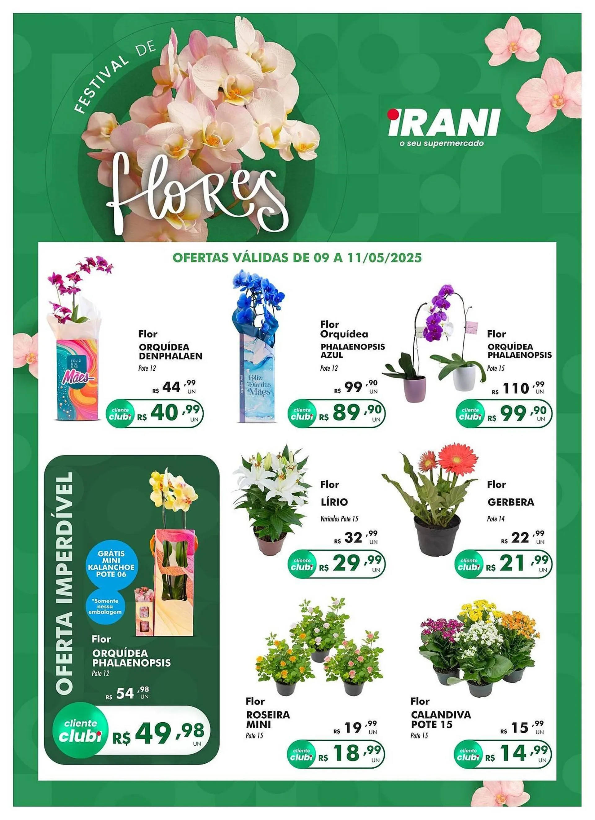 Encarte de Catálogo Irani Supermercados 9 de maio até 11 de maio 2025 - Pagina 2