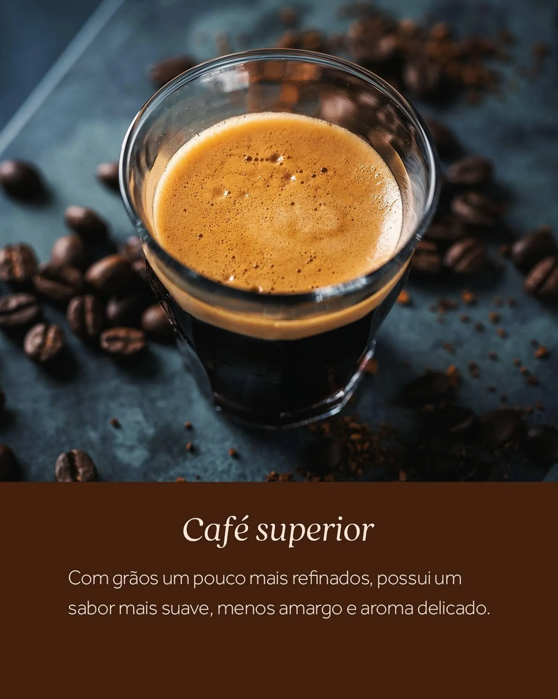 Encarte de Catálogo Festval 19 de maio até 24 de maio 2025 - Pagina 5