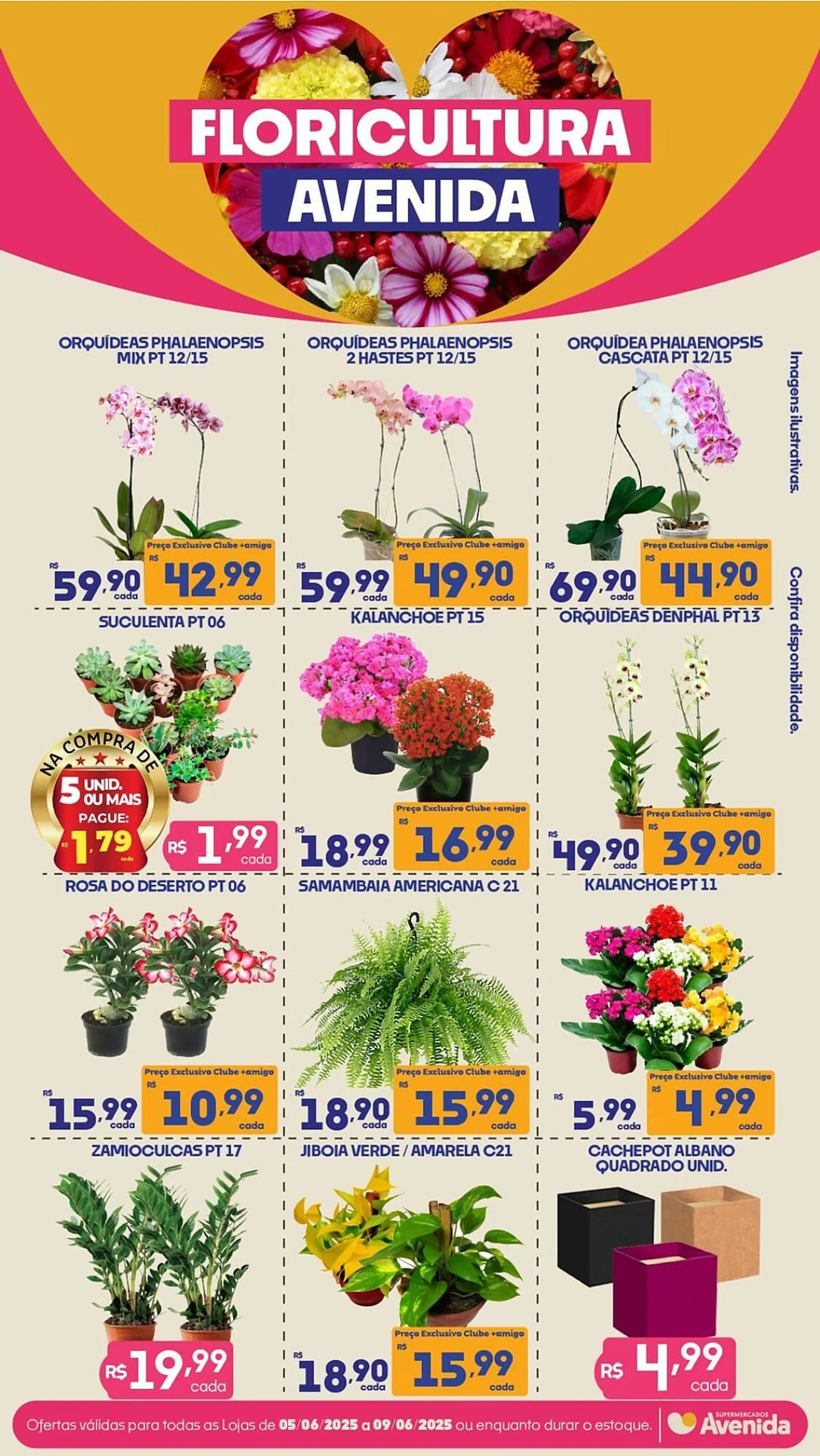 Catálogo Supermercados Avenida - 1