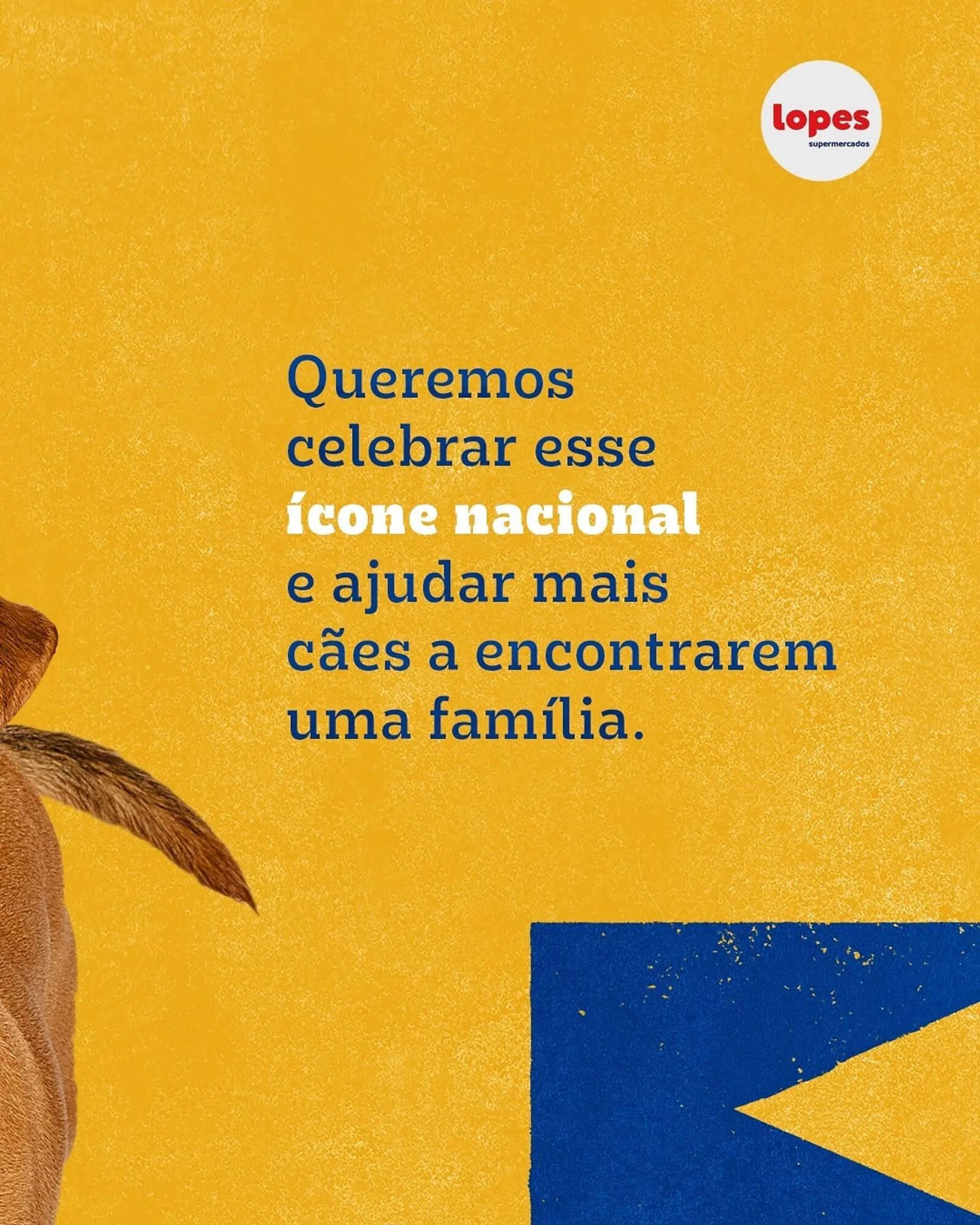 Encarte de Catálogo Lopes Supermercados 27 de maio até 1 de junho 2025 - Pagina 2