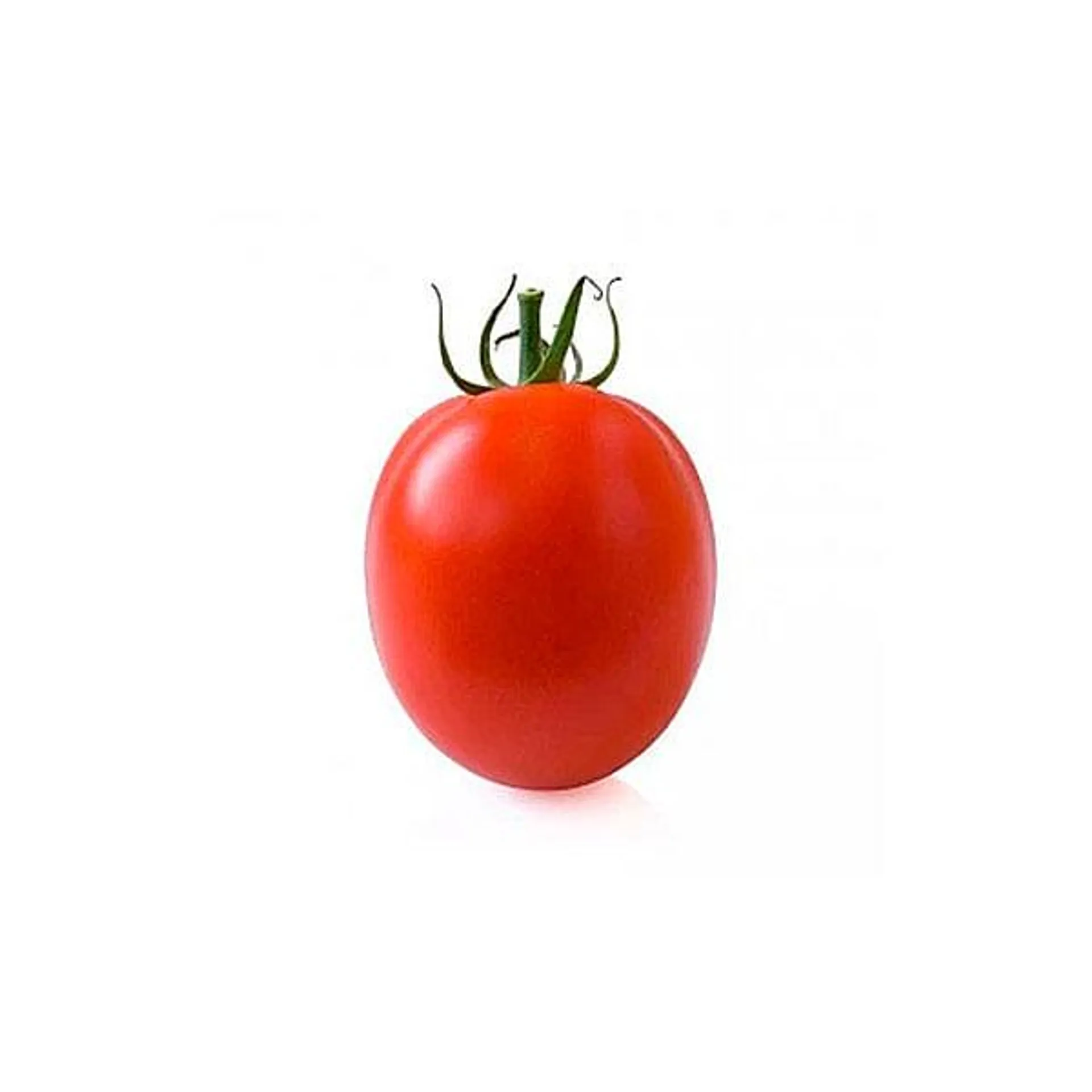 Tomate Italiano 500g (2 a 3 Unidades )