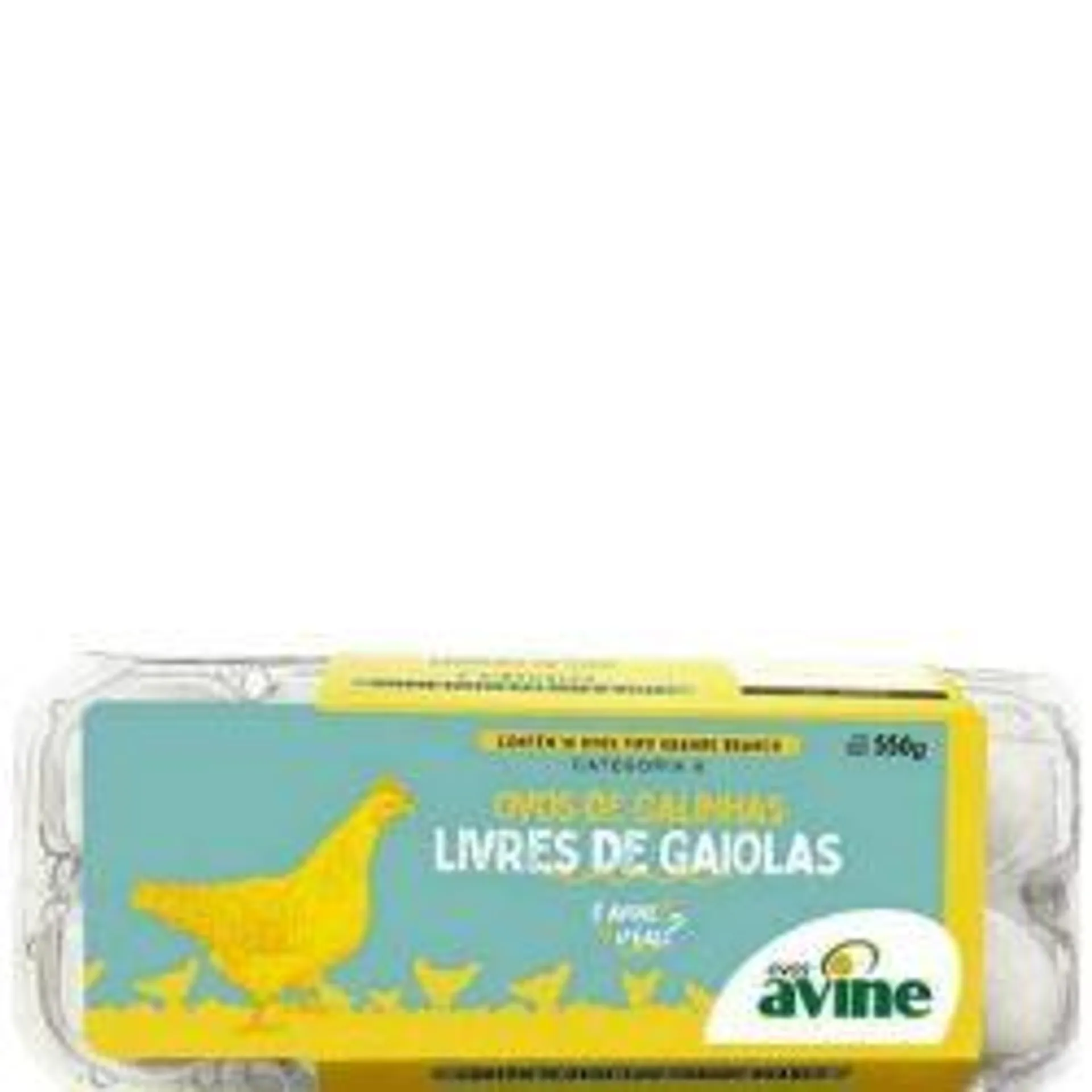 Ovos Avine Livres De Gaiolas Branco Grande Com 10 Unidades