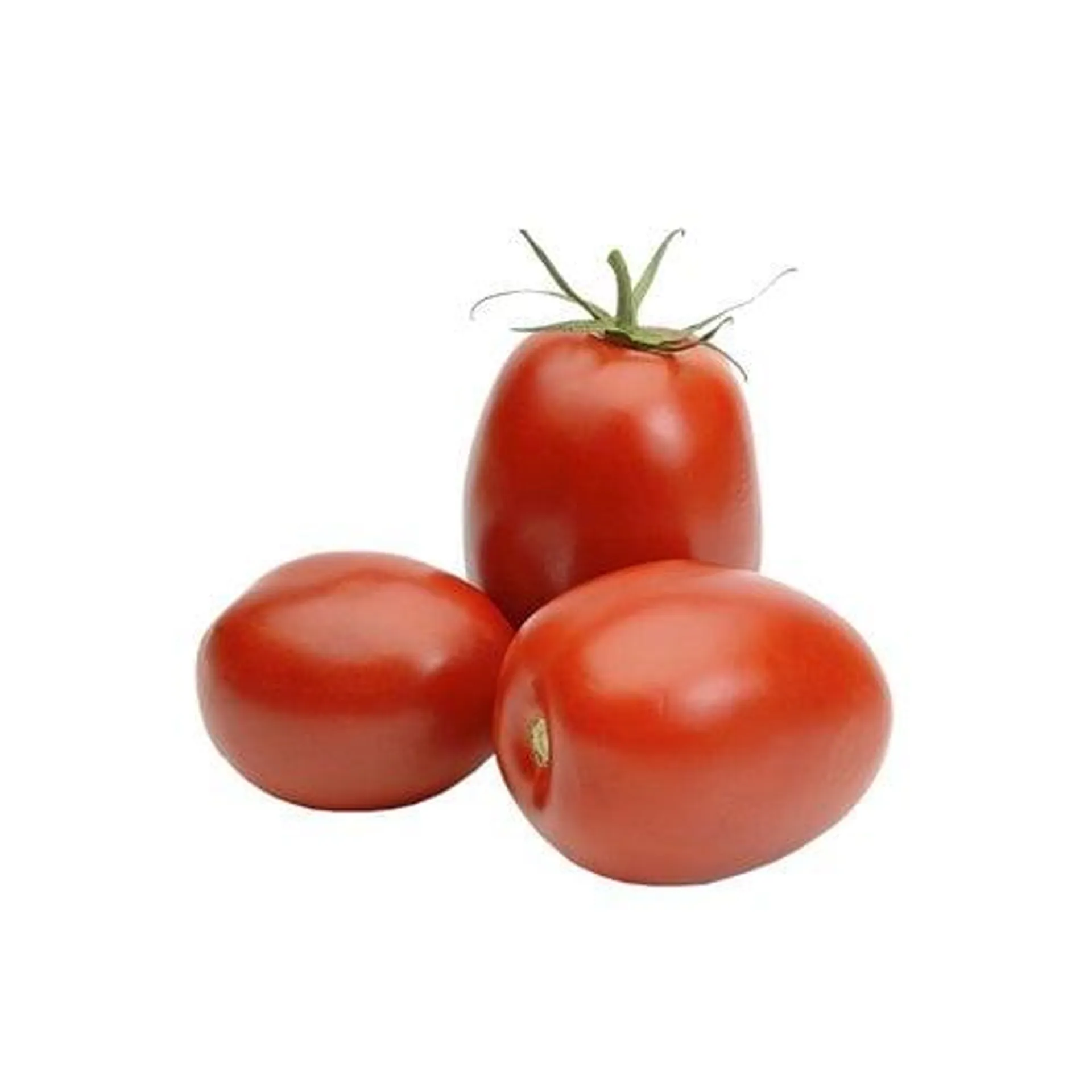 Tomate Italiano 135g