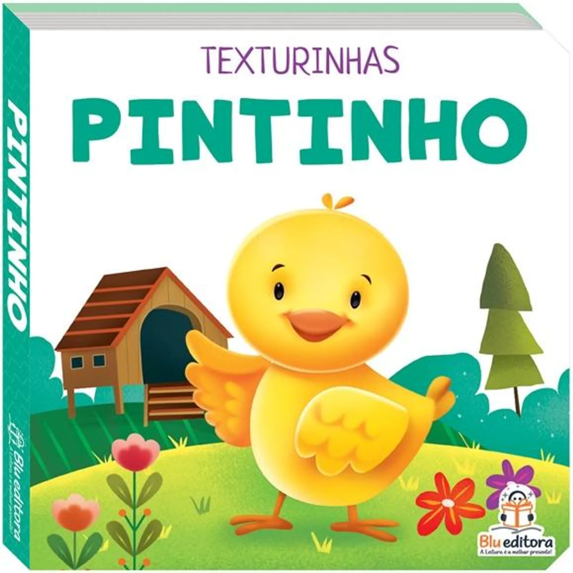 Livro texturinhas pintinho blu editora