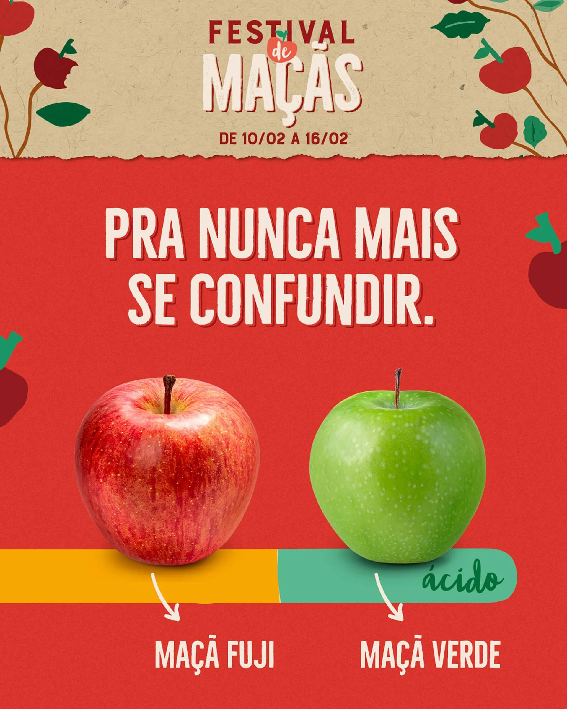 Encarte de Catálogo Natural da Terra 10 de fevereiro até 16 de fevereiro 2025 - Pagina 2