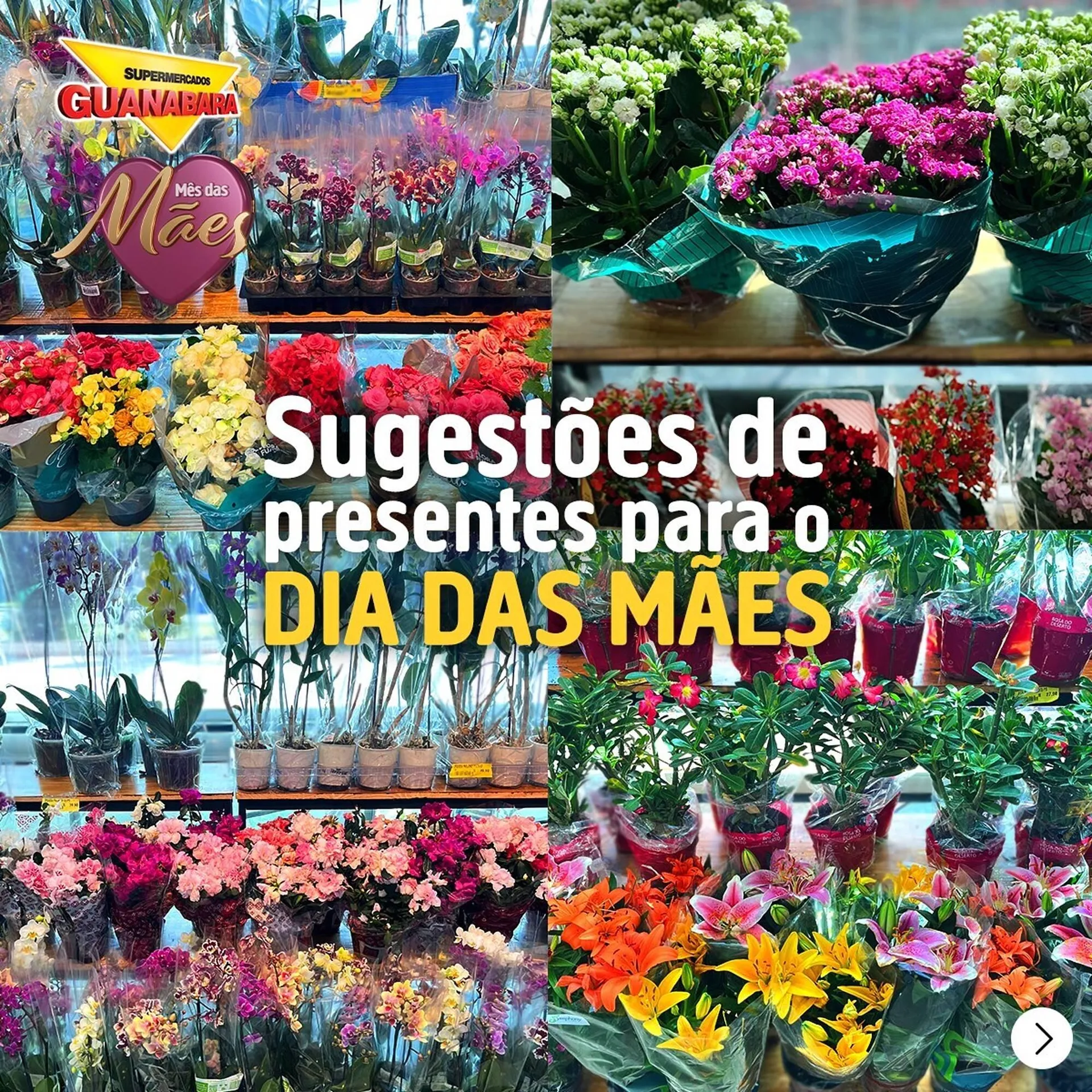 Encarte de Catálogo Supermercados Guanabara 8 de maio até 8 de maio 2025 - Pagina 1