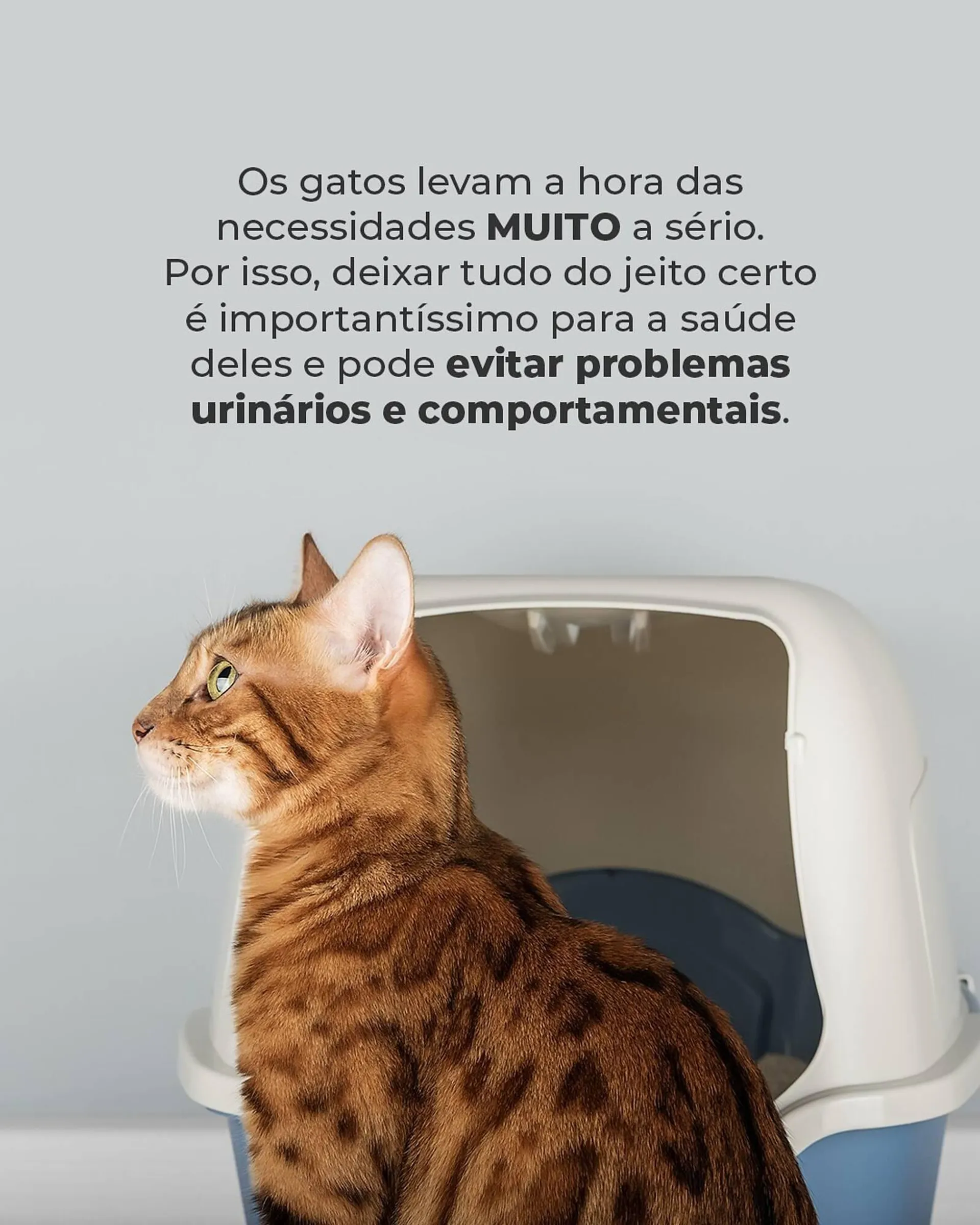Encarte de Catálogo Cobasi 23 de abril até 30 de abril 2025 - Pagina 2