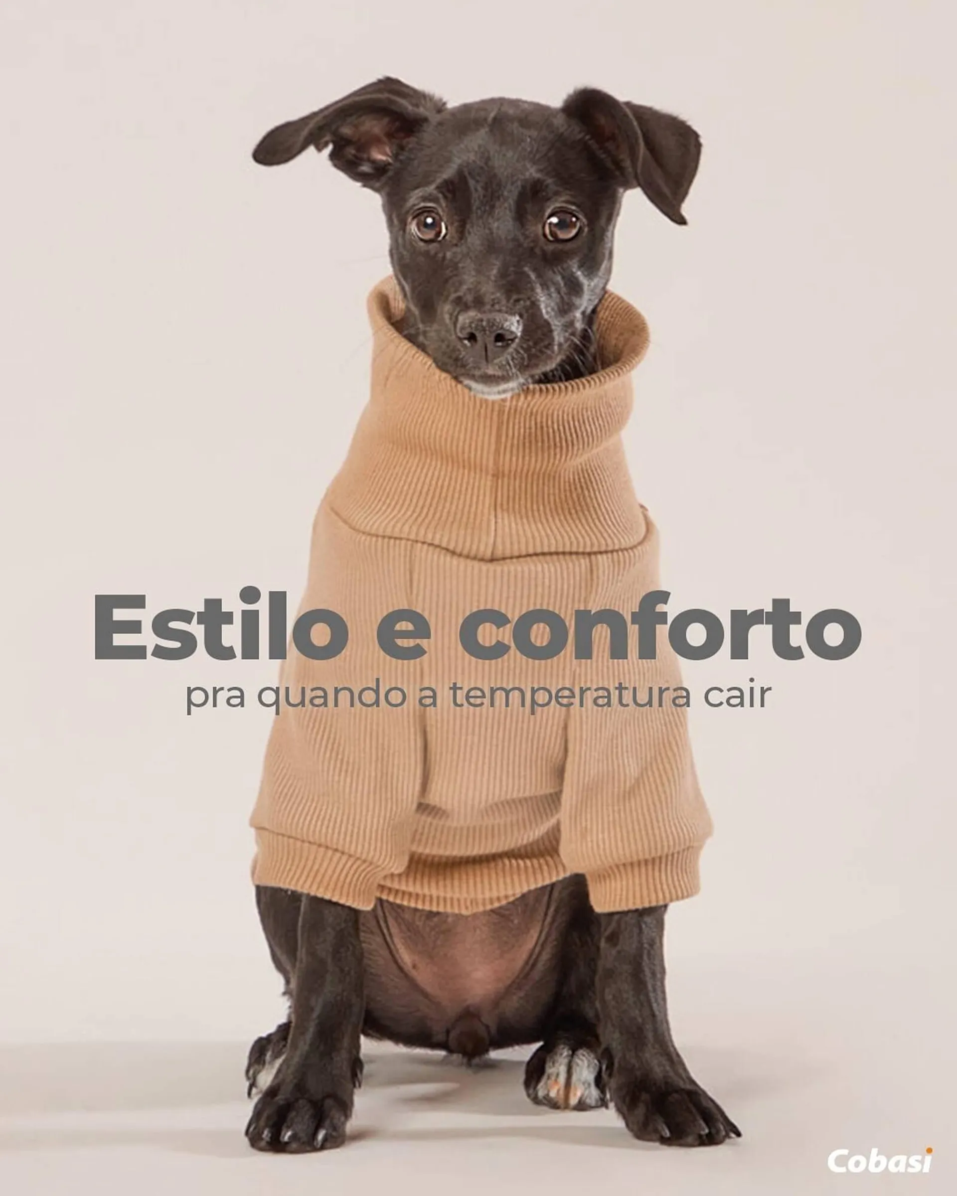 Encarte de Catálogo Cobasi 9 de junho até 9 de junho 2025 - Pagina 1