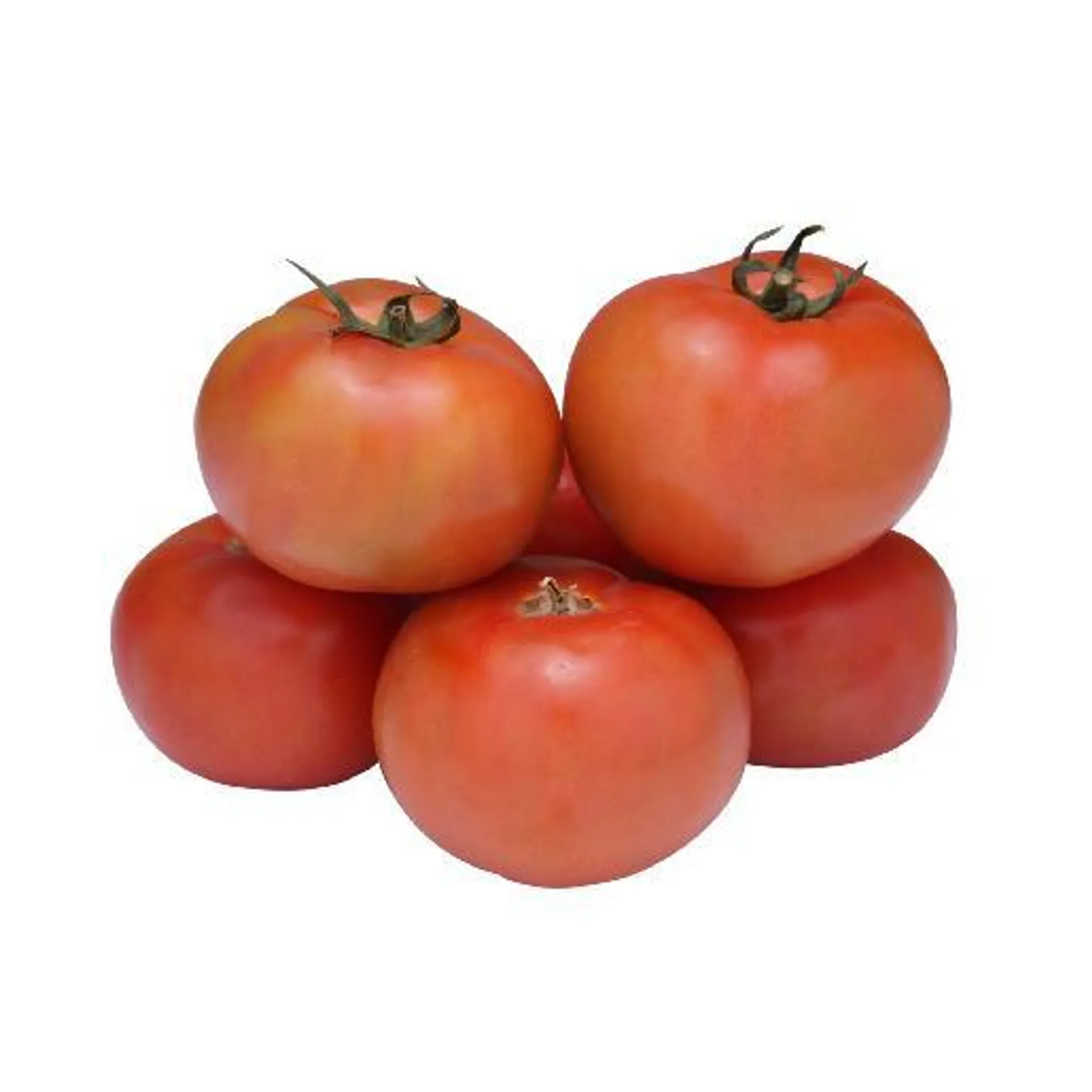 TOMATE KG