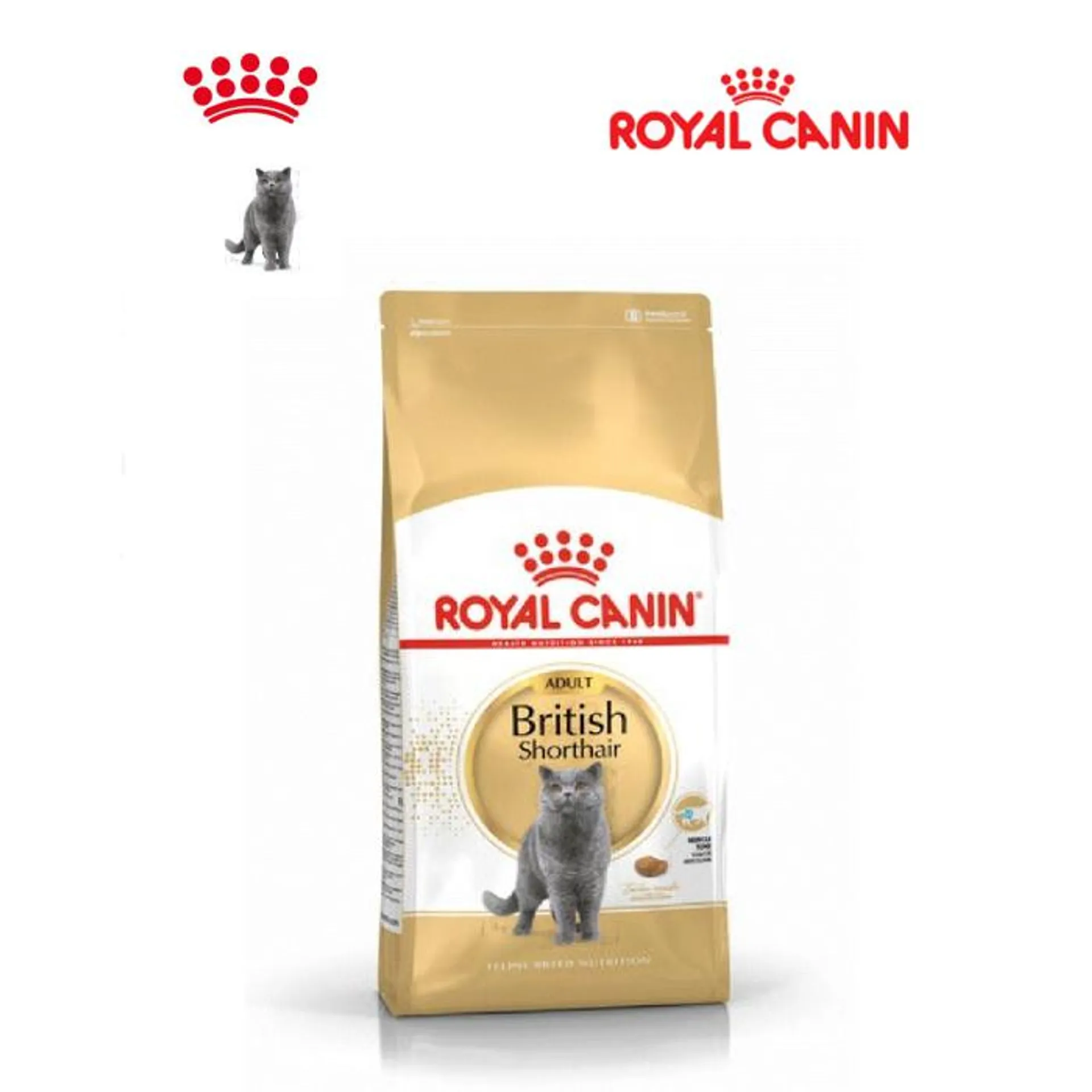 royal canin comida pienso para gato British Shorthair Adult 2 kg