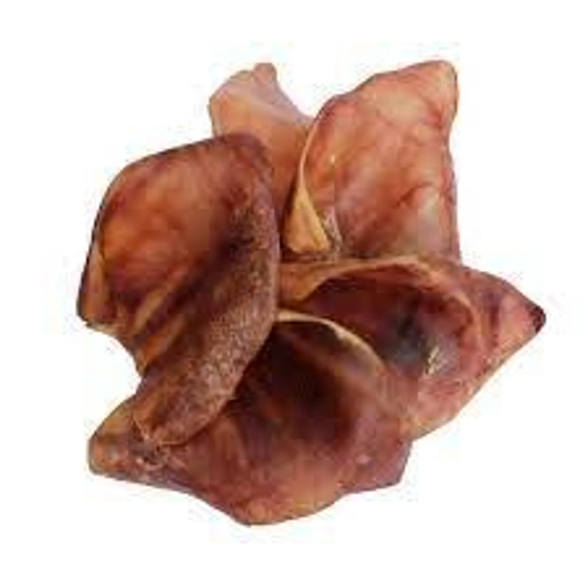 BOW WOW ALL NATURAL PIGS EARS