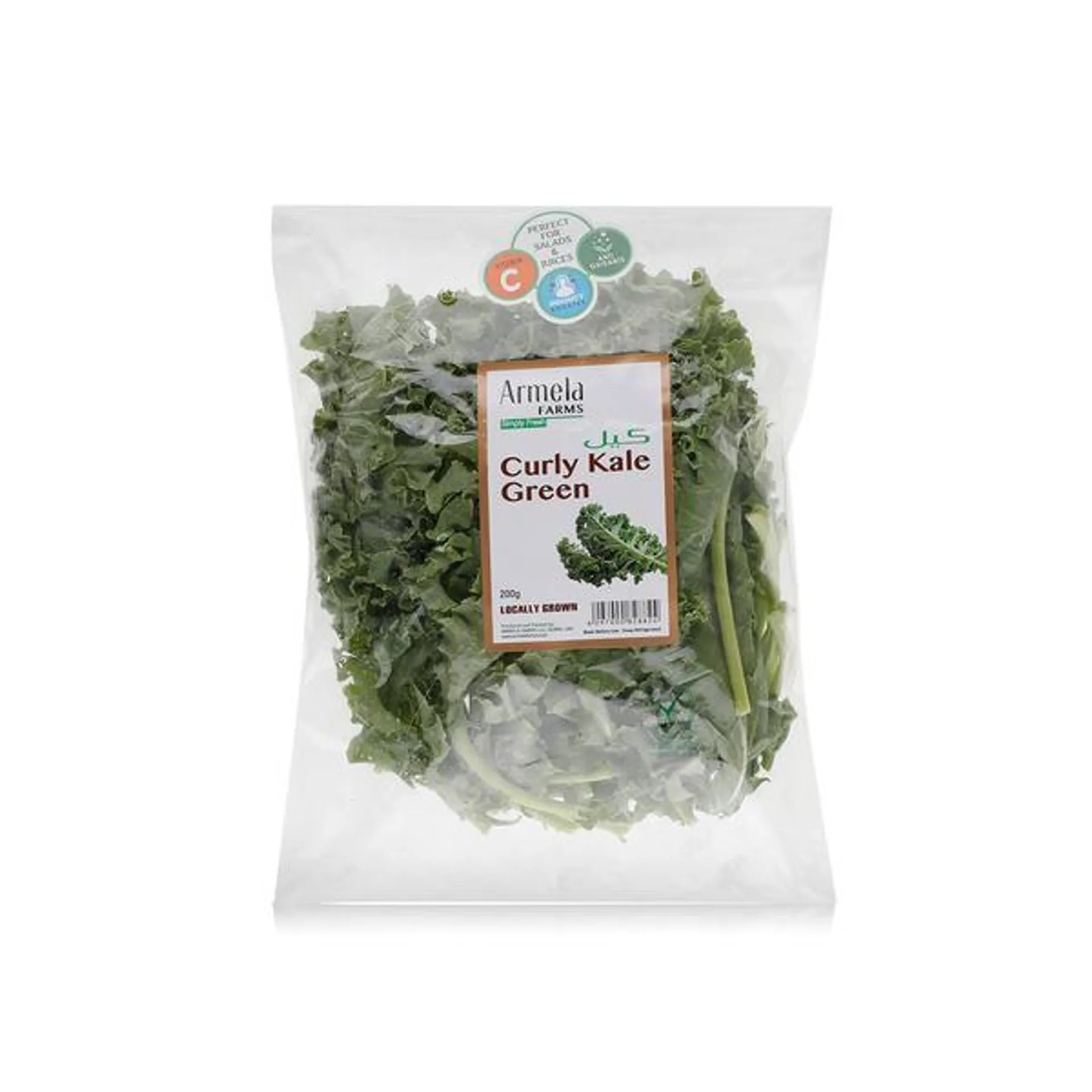 Curly Kale Green