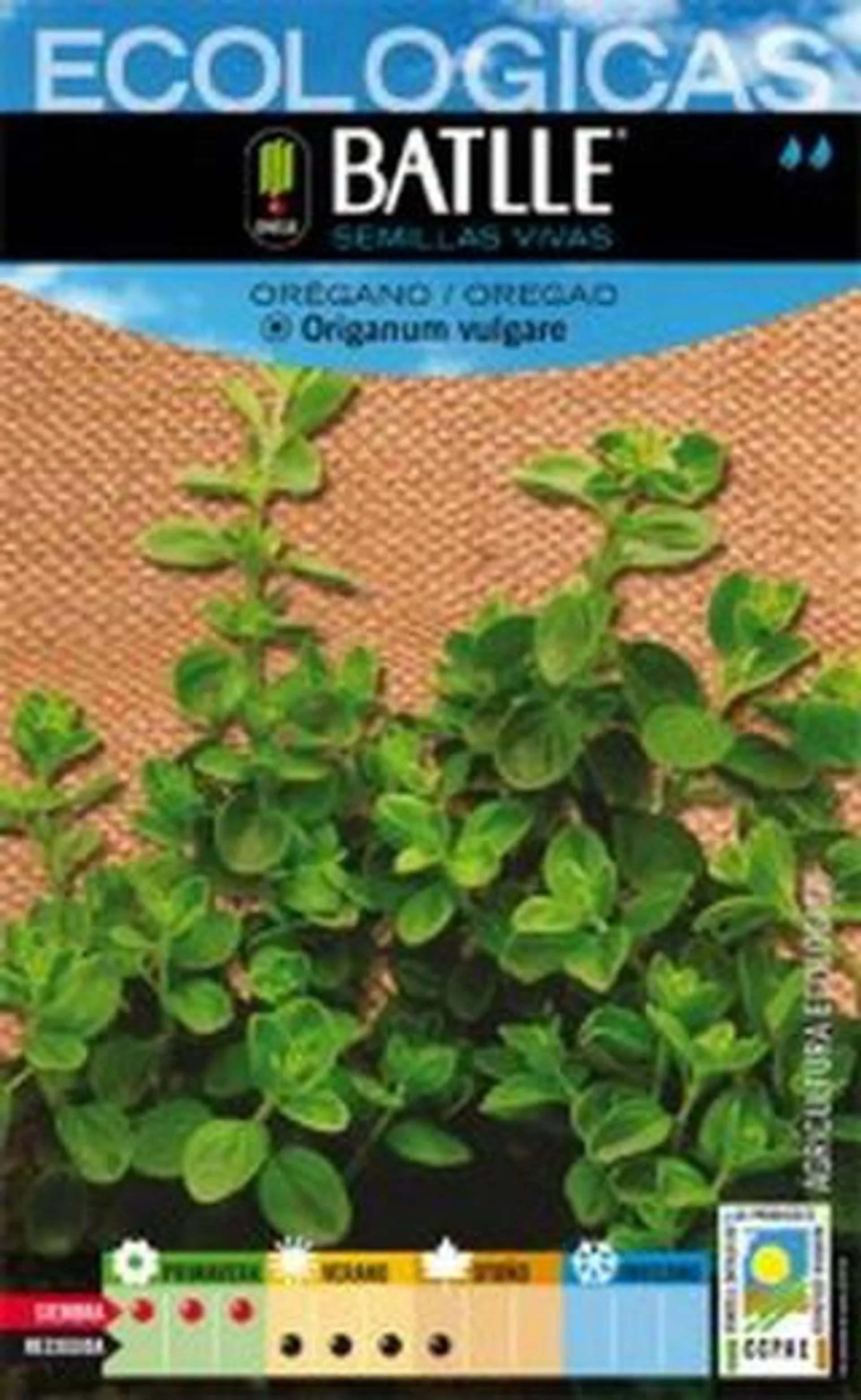 Oregano ECOLÓGICO