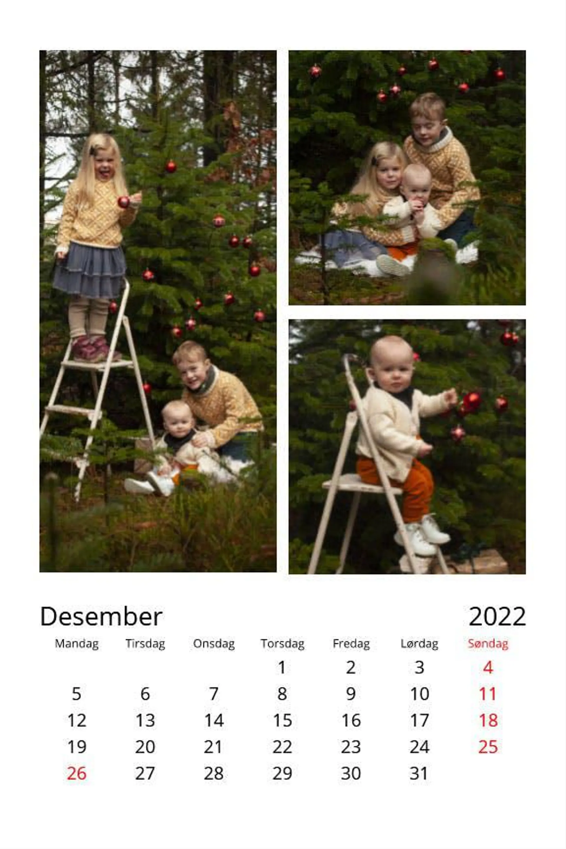 Bergen kalender