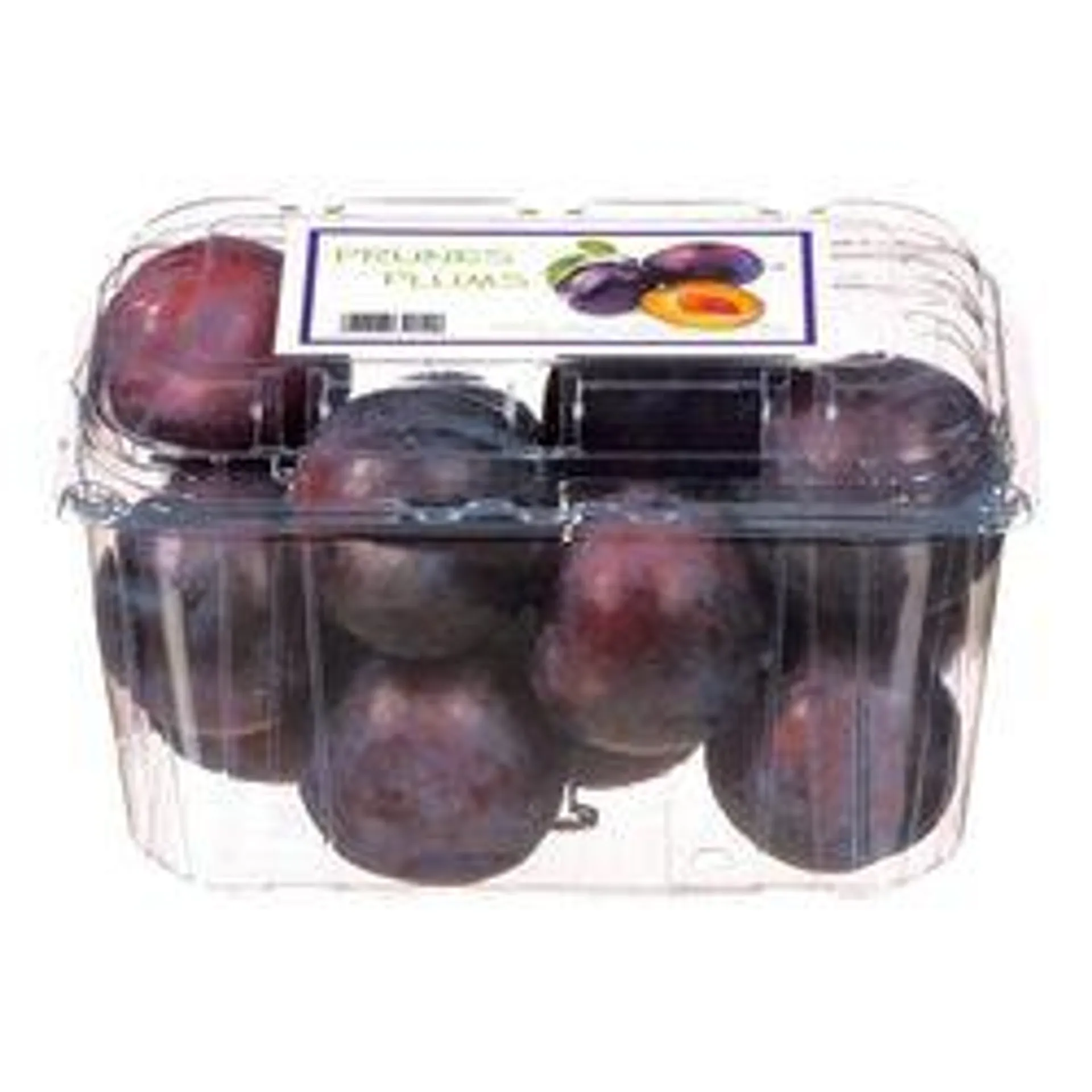 Angelino Plums